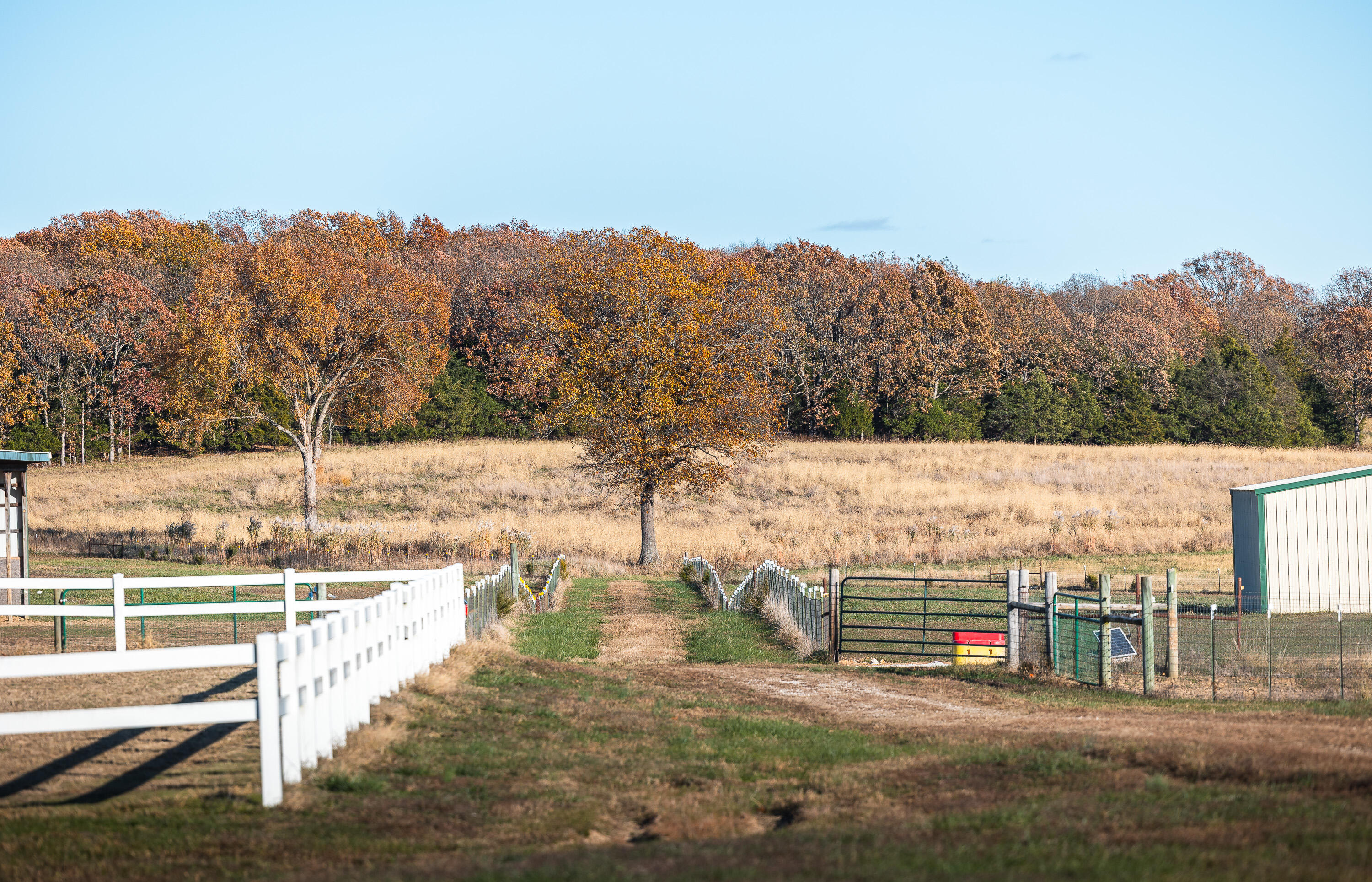 Photo 9 - Farm for sale – 17265  County Road 8280   Rolla, MO