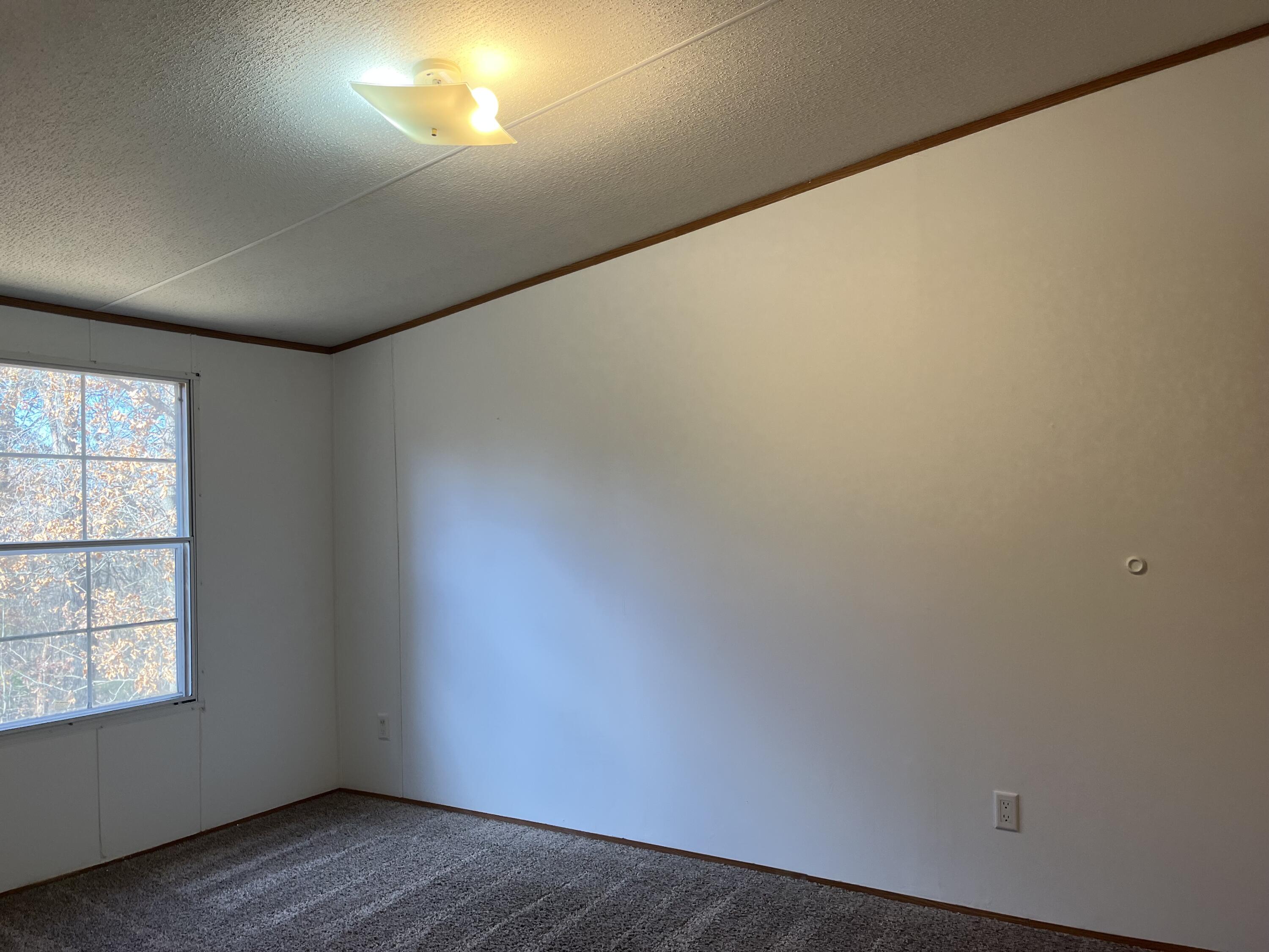 Photo 8 - Residential for sale – 371  Post Oak Road  Seligman, MO