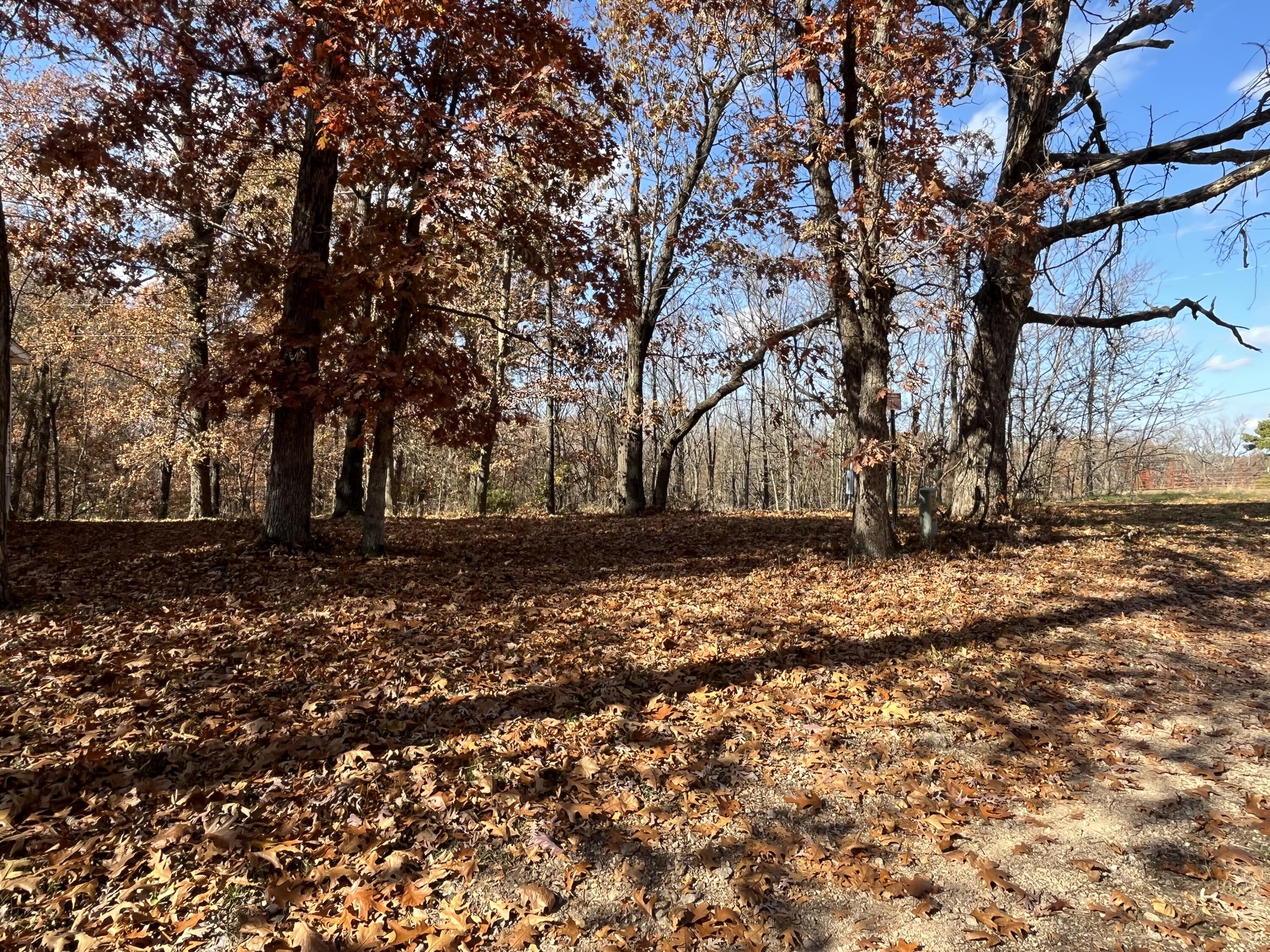 Photo 15 - Residential for sale – 371  Post Oak Road  Seligman, MO