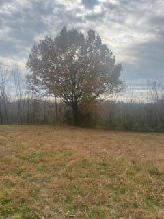 Photo 3 - Land for sale – 601 E 3rd   Mountain View, MO
