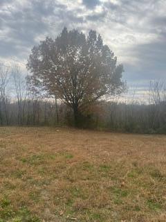 Photo 7 - Land for sale – 601 E 3rd   Mountain View, MO
