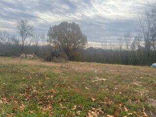 Photo 2 - Land for sale – 601 E 3rd   Mountain View, MO