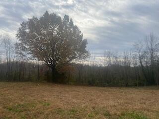 Photo 5 - Land for sale – 601 E 3rd   Mountain View, MO
