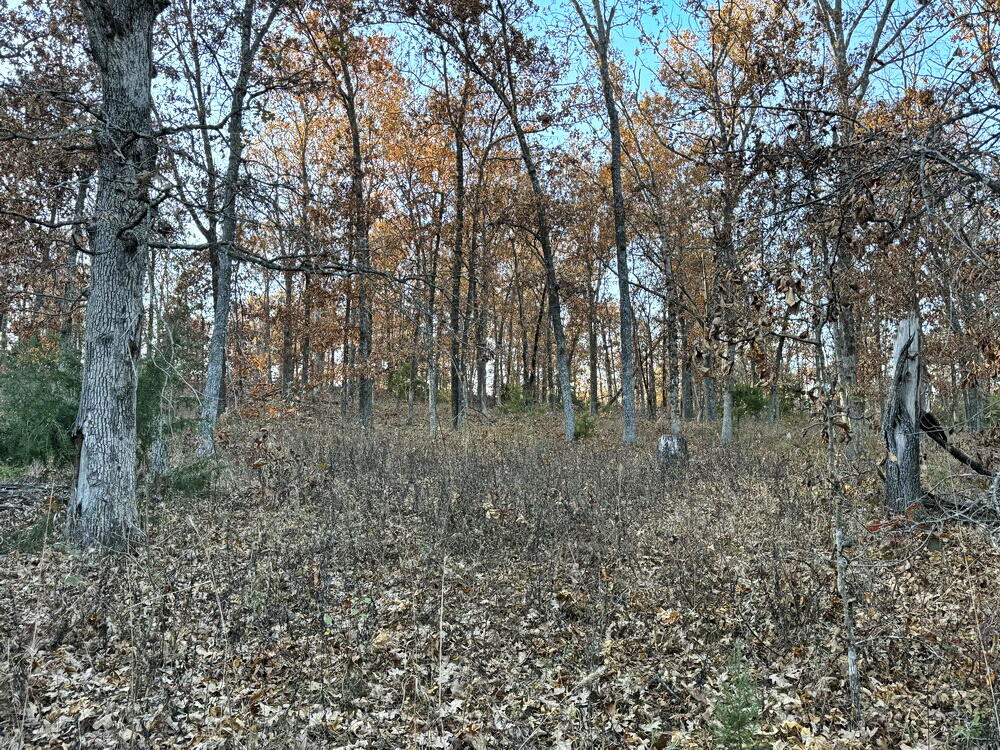Photo 16 - Land for sale – Tbd S 525 Road  El Dorado Springs, MO
