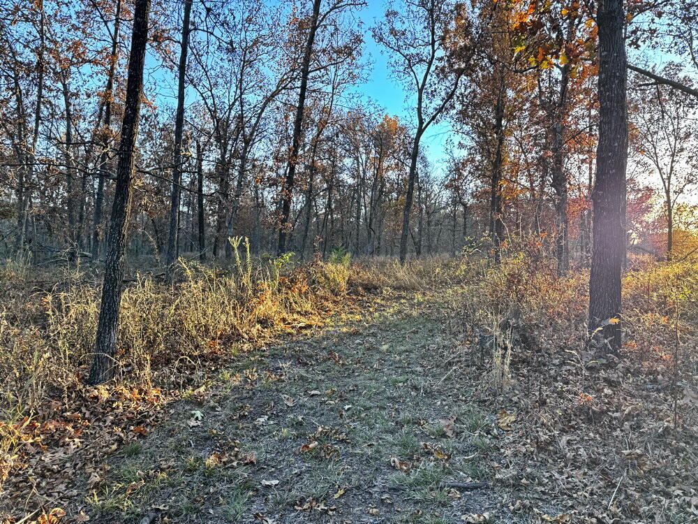 Photo 26 - Land for sale – Tbd S 525 Road  El Dorado Springs, MO