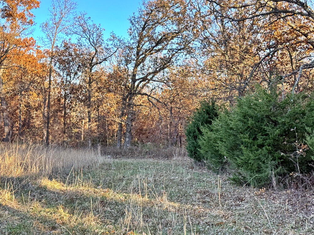Photo 10 - Land for sale – Tbd S 525 Road  El Dorado Springs, MO