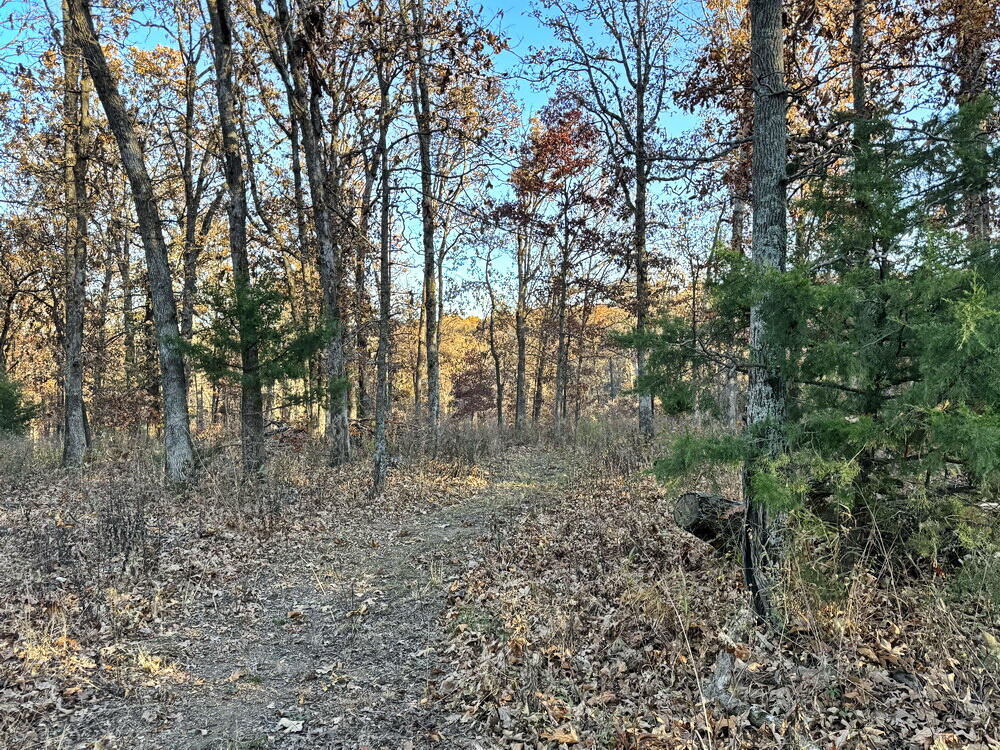 Photo 11 - Land for sale – Tbd S 525 Road  El Dorado Springs, MO