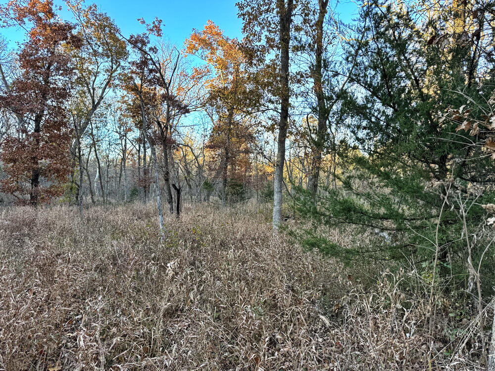 Photo 20 - Land for sale – Tbd S 525 Road  El Dorado Springs, MO