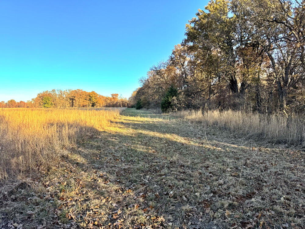 Photo 7 - Land for sale – Tbd S 525 Road  El Dorado Springs, MO