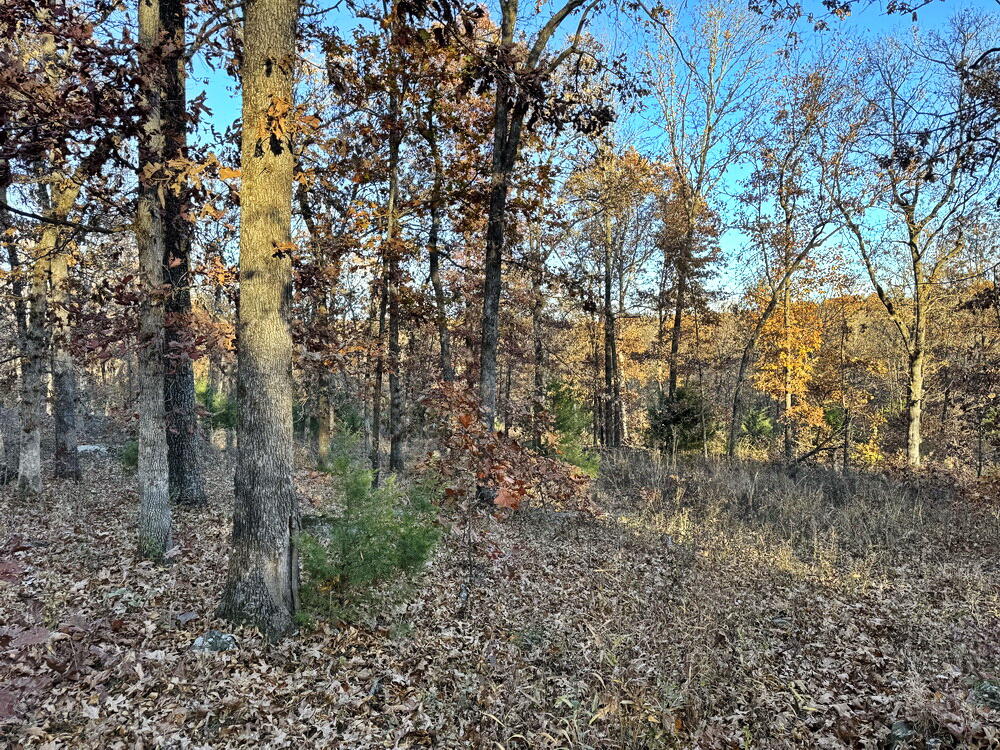 Photo 12 - Land for sale – Tbd S 525 Road  El Dorado Springs, MO