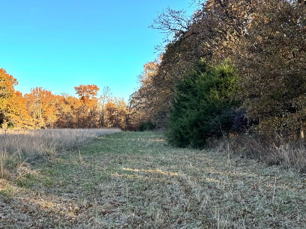 Photo 9 - Land for sale – Tbd S 525 Road  El Dorado Springs, MO