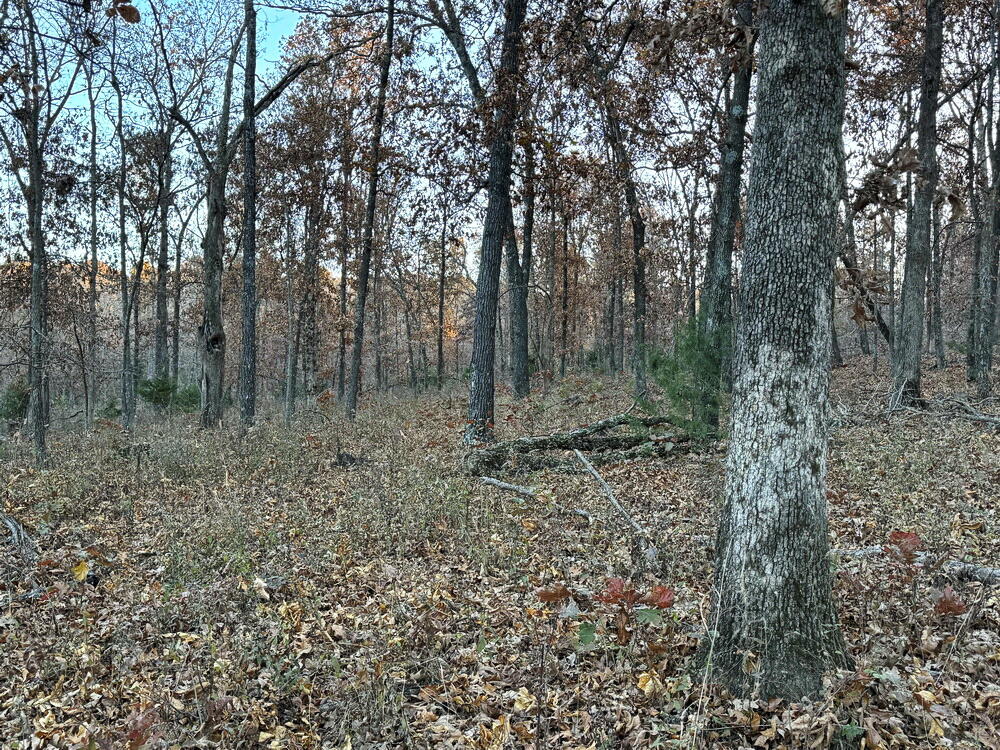 Photo 23 - Land for sale – Tbd S 525 Road  El Dorado Springs, MO