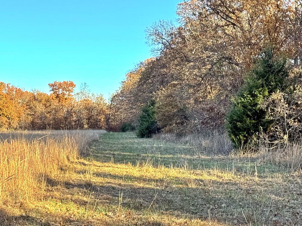 Photo 8 - Land for sale – Tbd S 525 Road  El Dorado Springs, MO