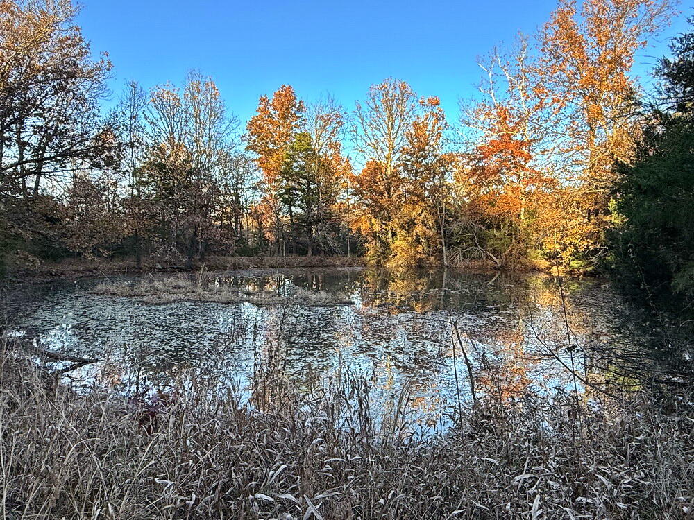Photo 15 - Land for sale – Tbd S 525 Road  El Dorado Springs, MO