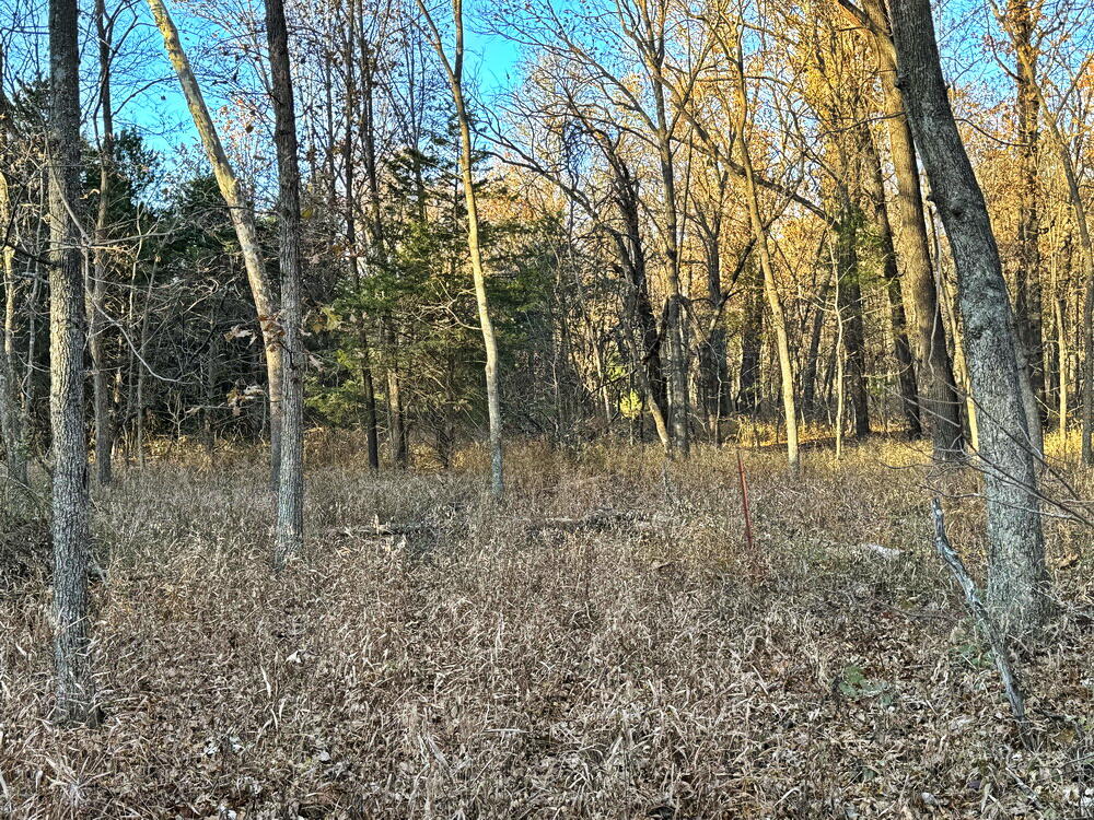 Photo 22 - Land for sale – Tbd S 525 Road  El Dorado Springs, MO