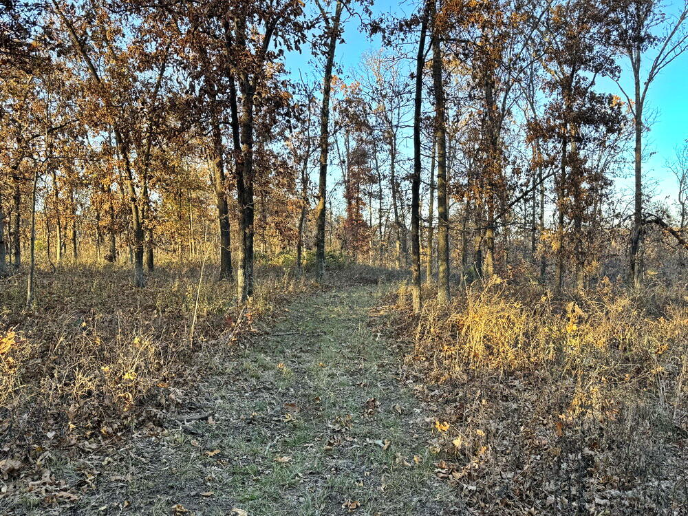 Photo 27 - Land for sale – Tbd S 525 Road  El Dorado Springs, MO