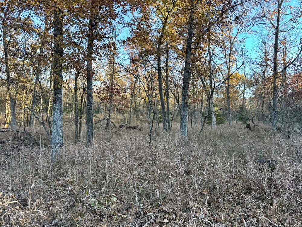 Photo 19 - Land for sale – Tbd S 525 Road  El Dorado Springs, MO