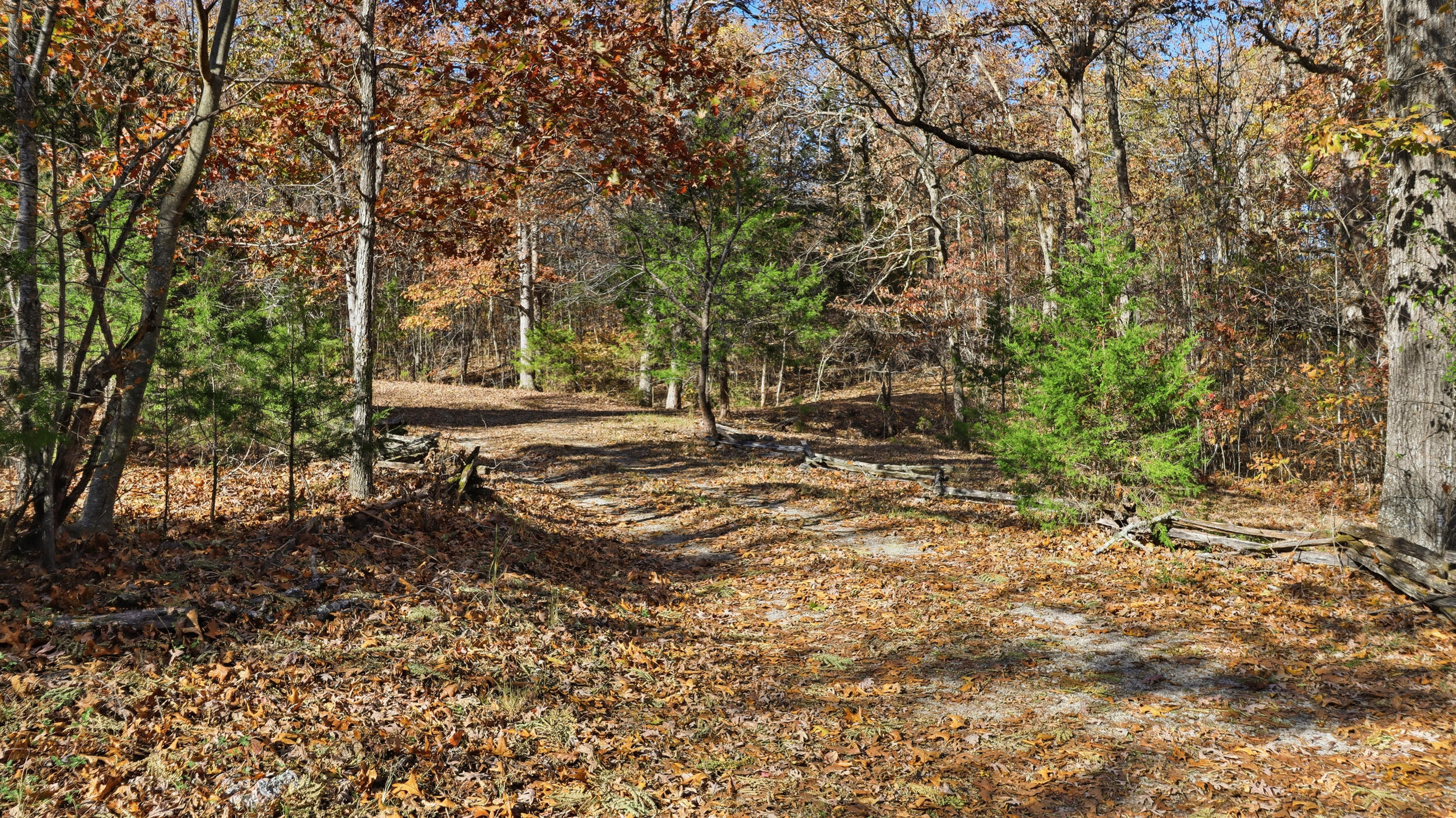 Photo 35 - Residential for sale – 214  State Route Kk   Pottersville, MO