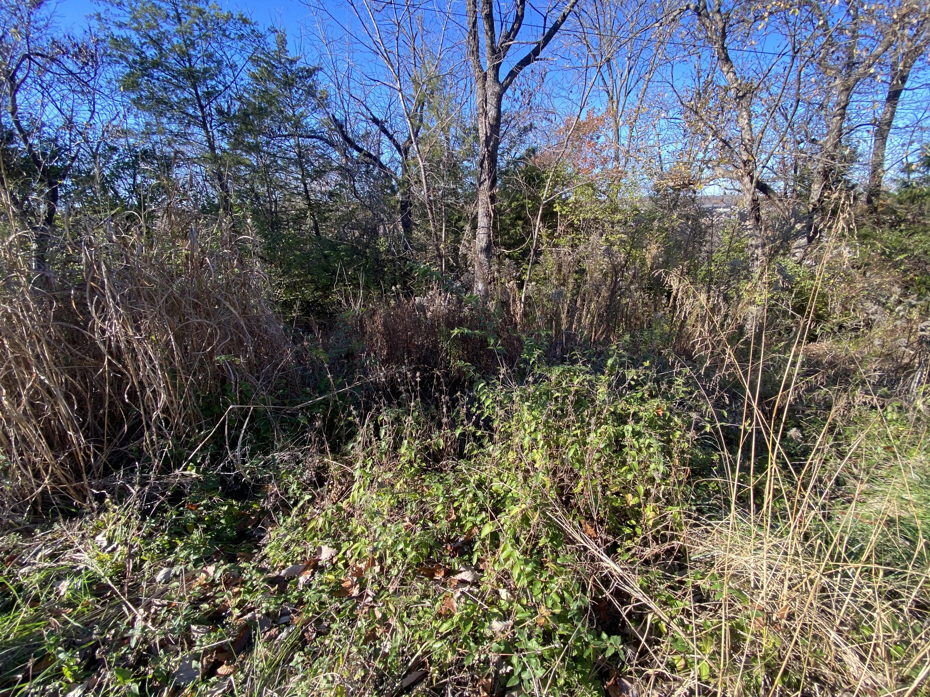 Photo 5 - Land for sale – 0 E Redbud Street  Springfield, MO