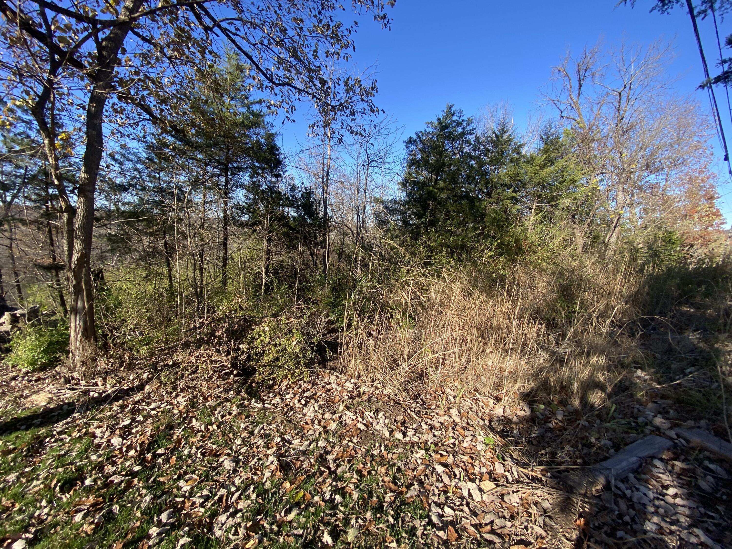 Photo 6 - Land for sale – 0 E Redbud Street  Springfield, MO