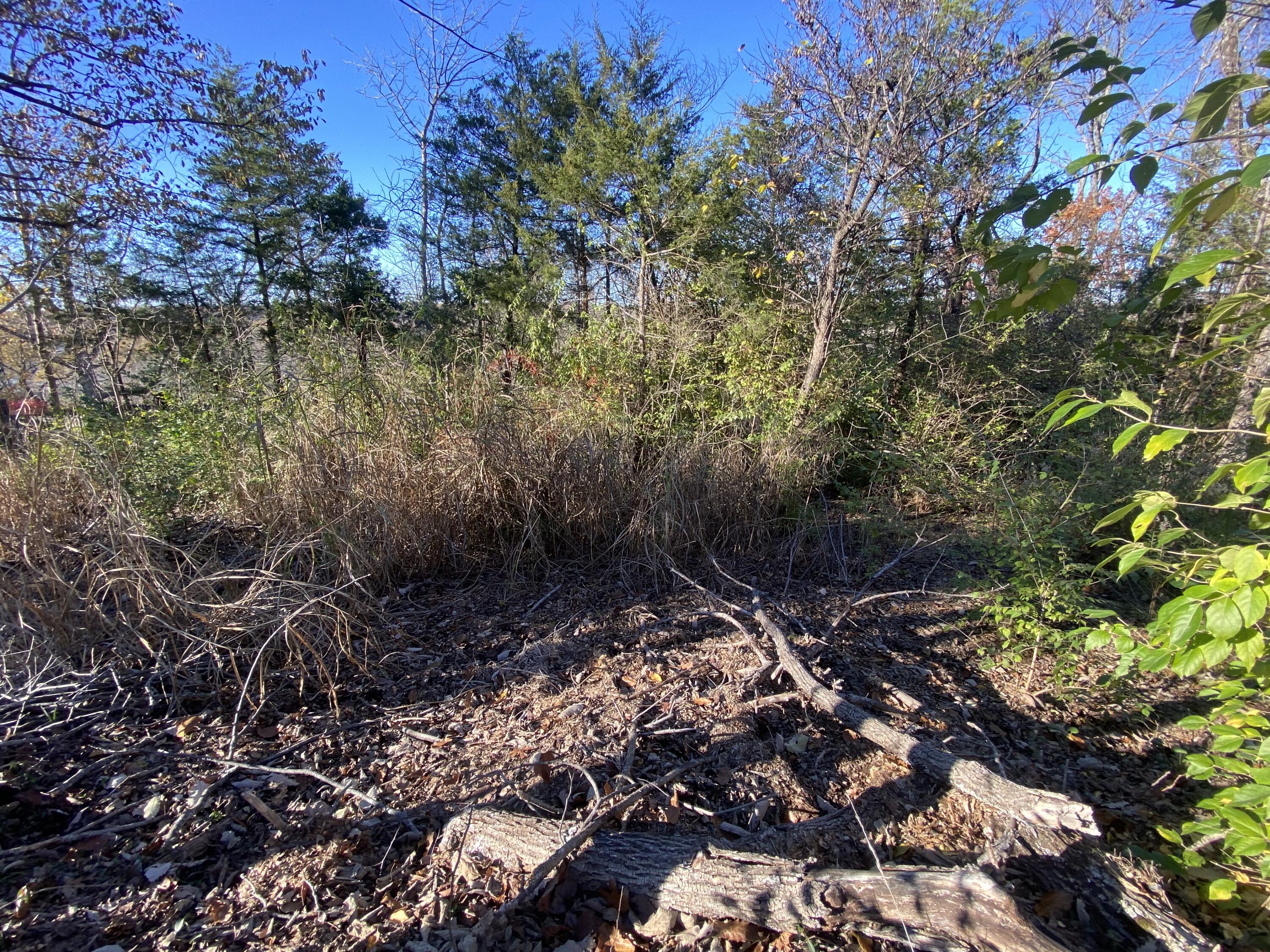 Photo 4 - Land for sale – 0 E Redbud Street  Springfield, MO