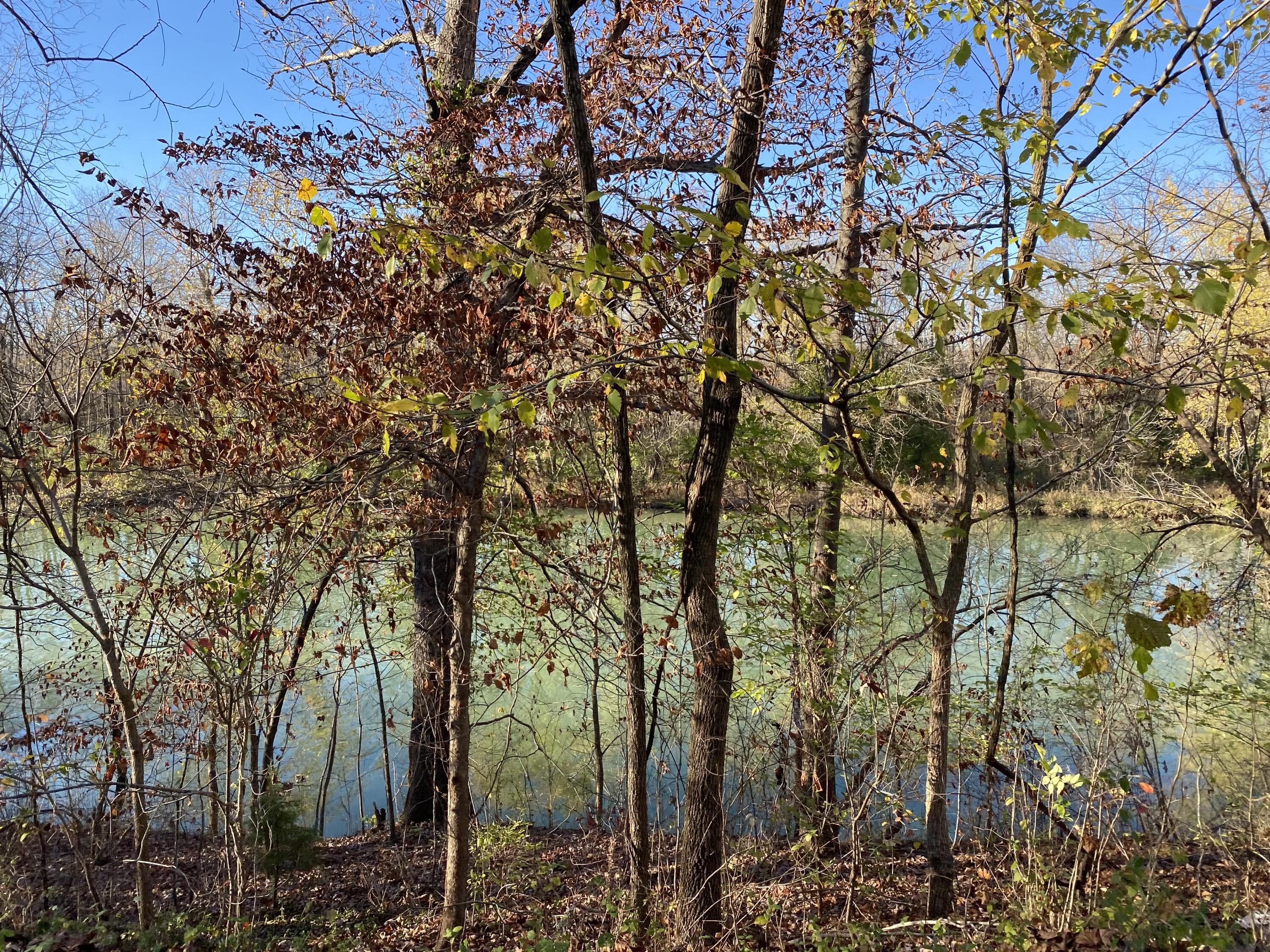 Photo 9 - Land for sale – 0 E Redbud Street  Springfield, MO