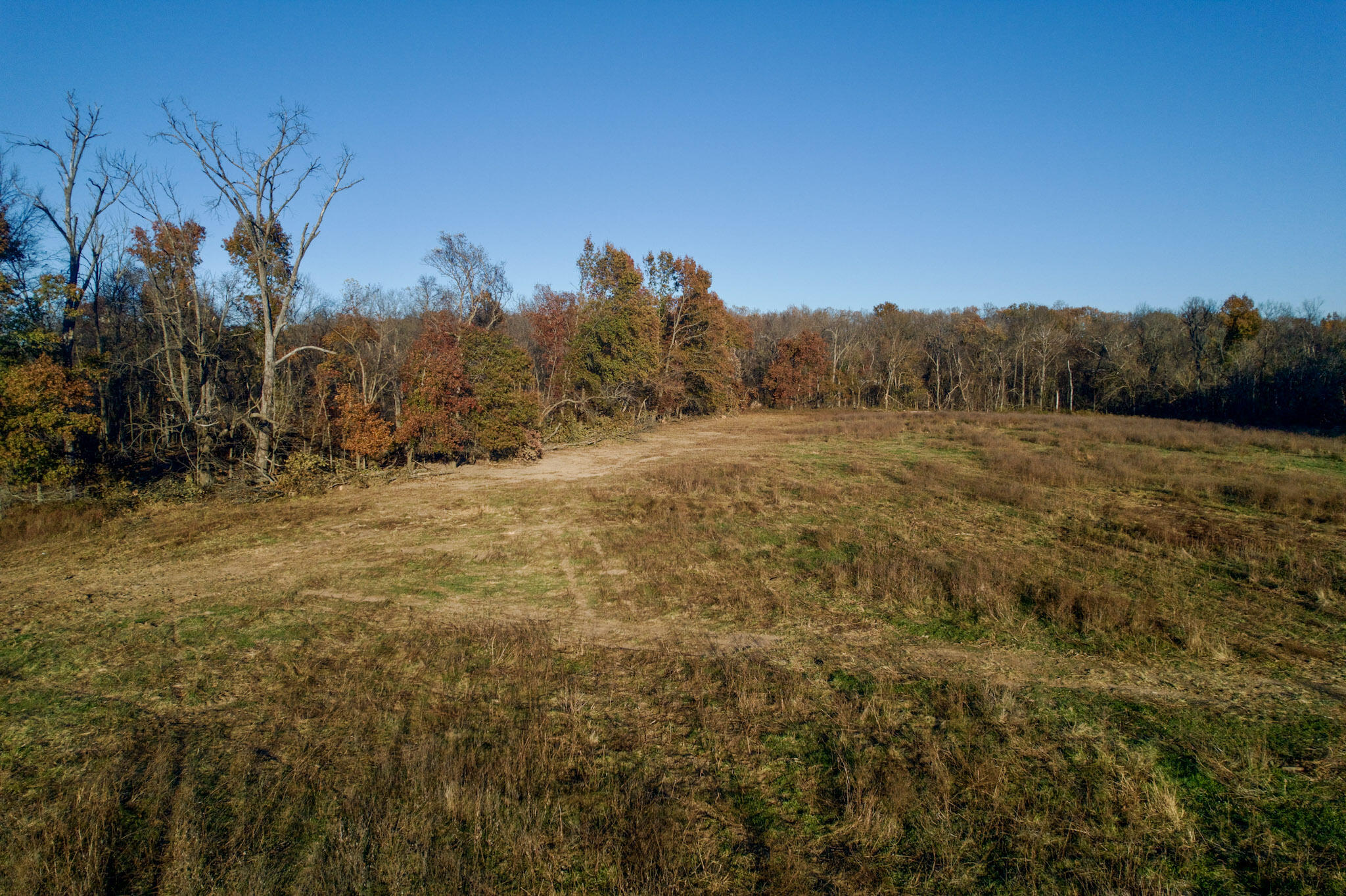 Photo 4 - Land for sale – 000 E 1320 Road  El Dorado Springs, MO