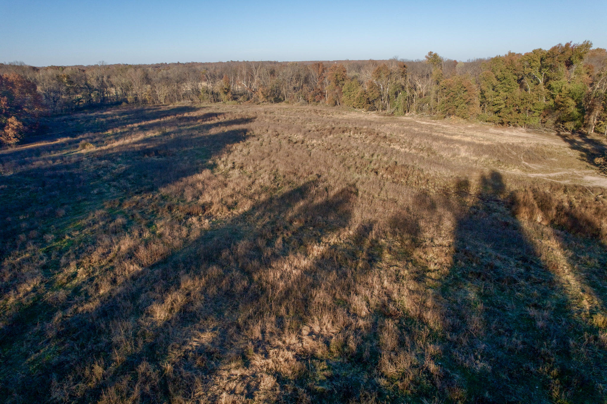 Photo 8 - Land for sale – 000 E 1320 Road  El Dorado Springs, MO