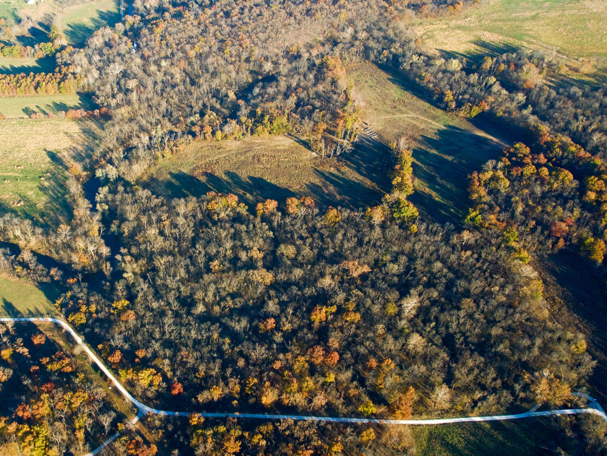 Photo 5 - Land for sale – 000 E 1320 Road  El Dorado Springs, MO