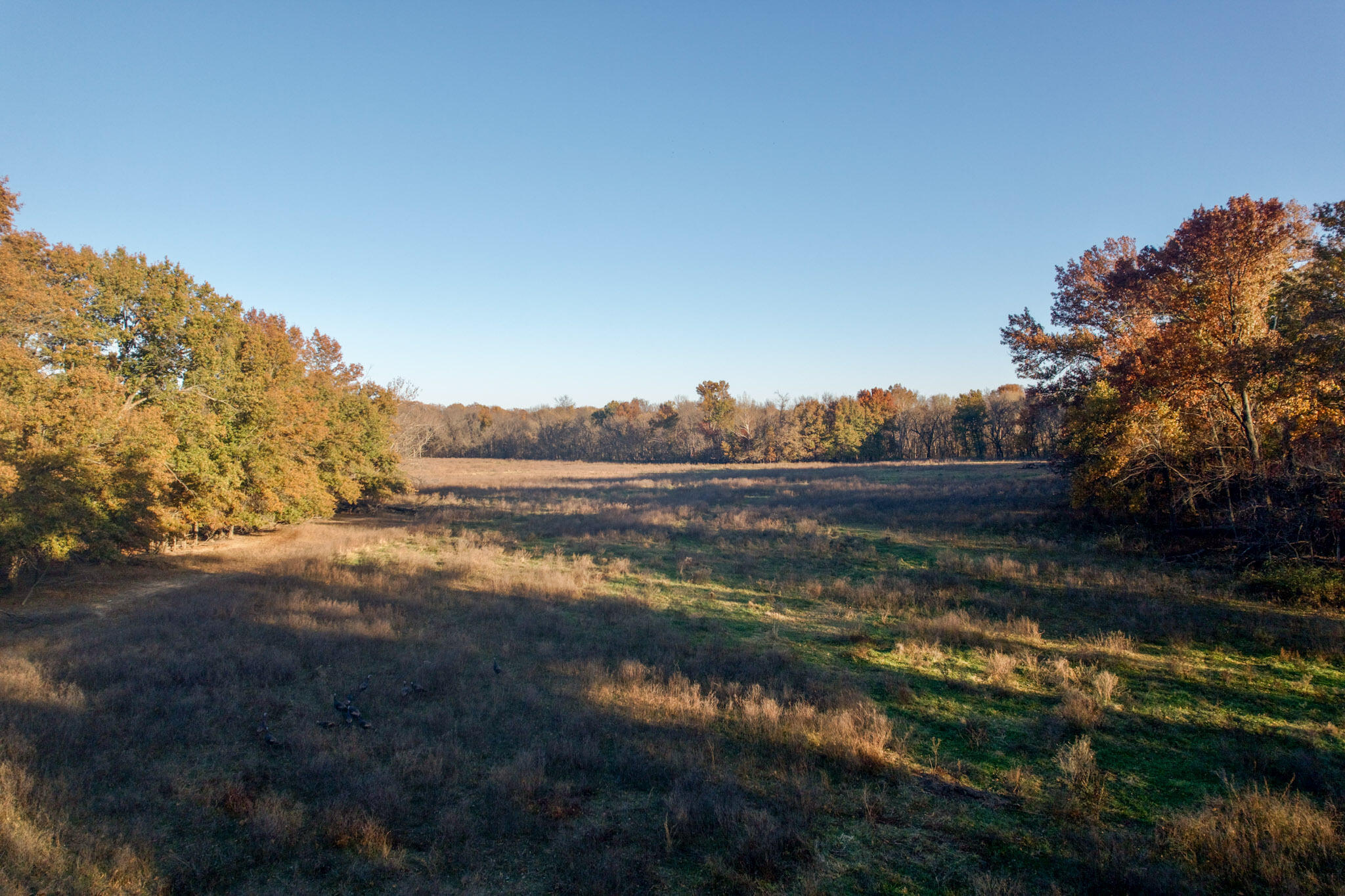 Photo 10 - Land for sale – 000 E 1320 Road  El Dorado Springs, MO