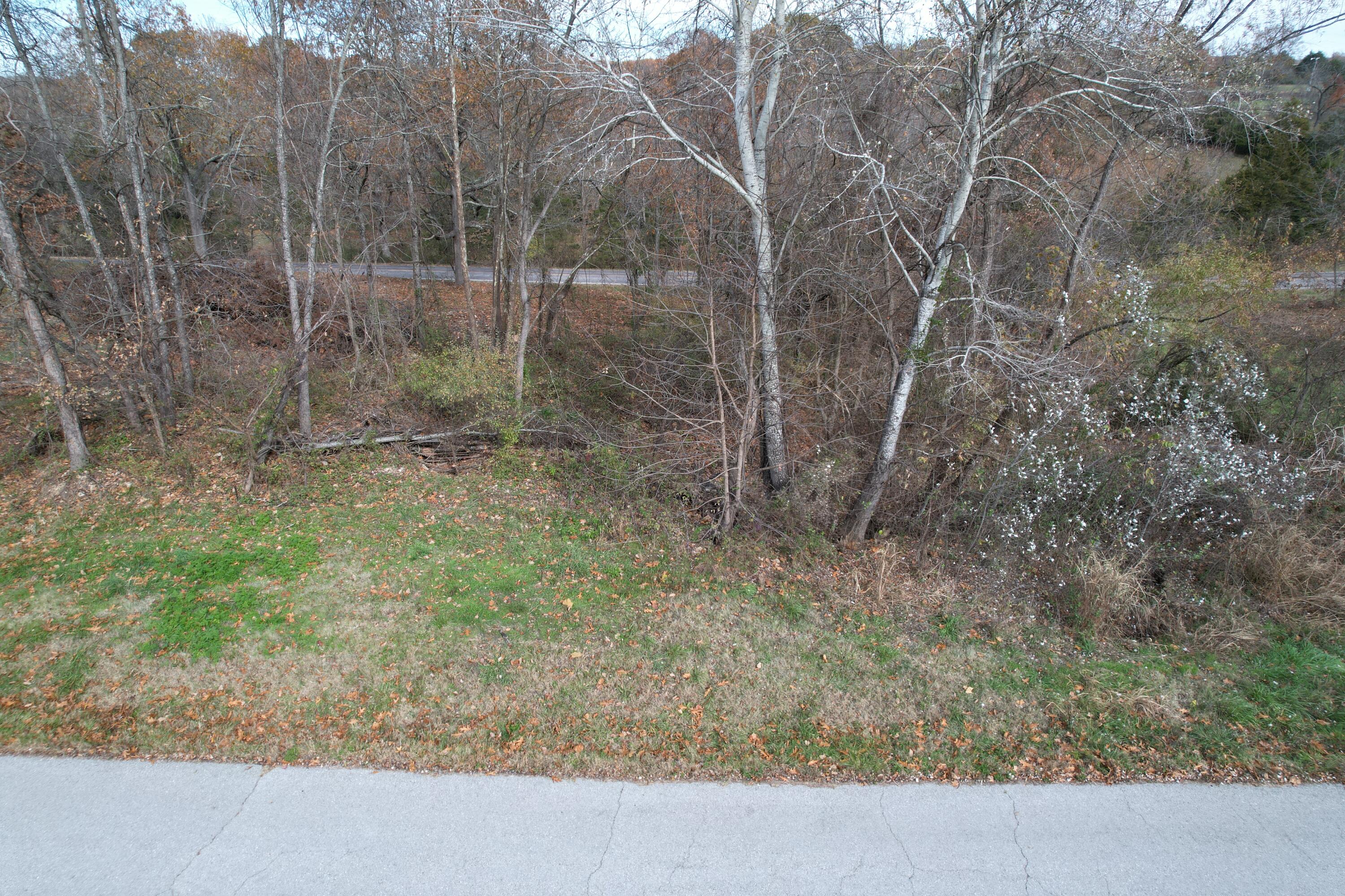 Photo 6 - Land for sale – 000  Rodeo   Ava, MO
