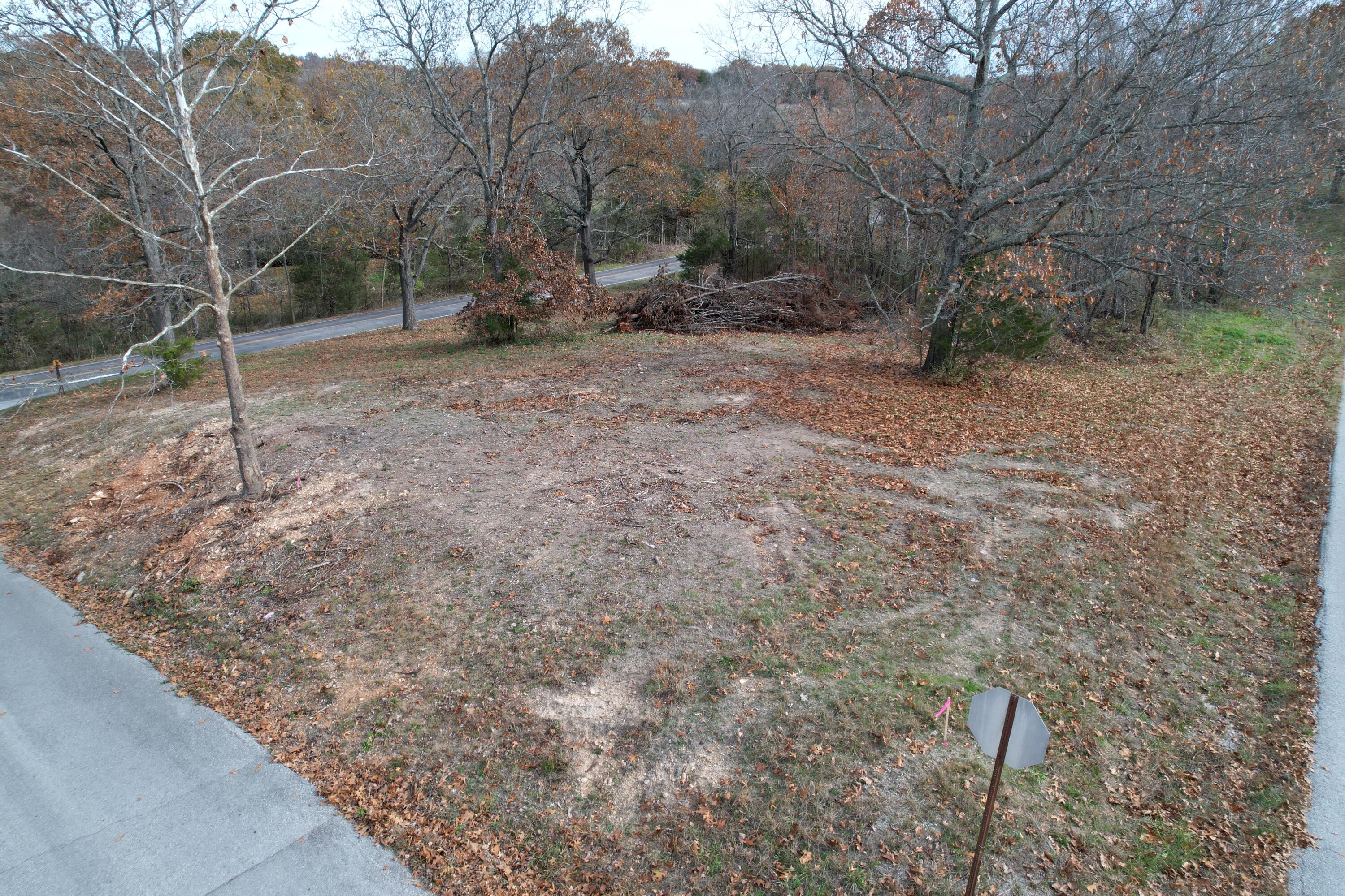 Photo 8 - Land for sale – 000  Rodeo   Ava, MO