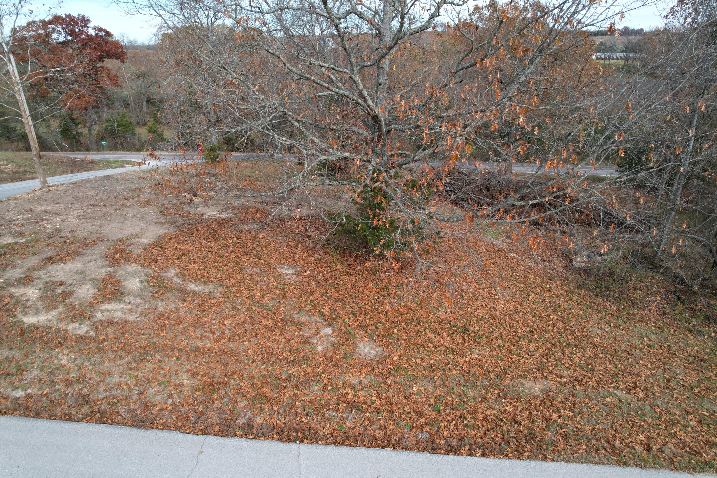Photo 7 - Land for sale – 000  Rodeo   Ava, MO