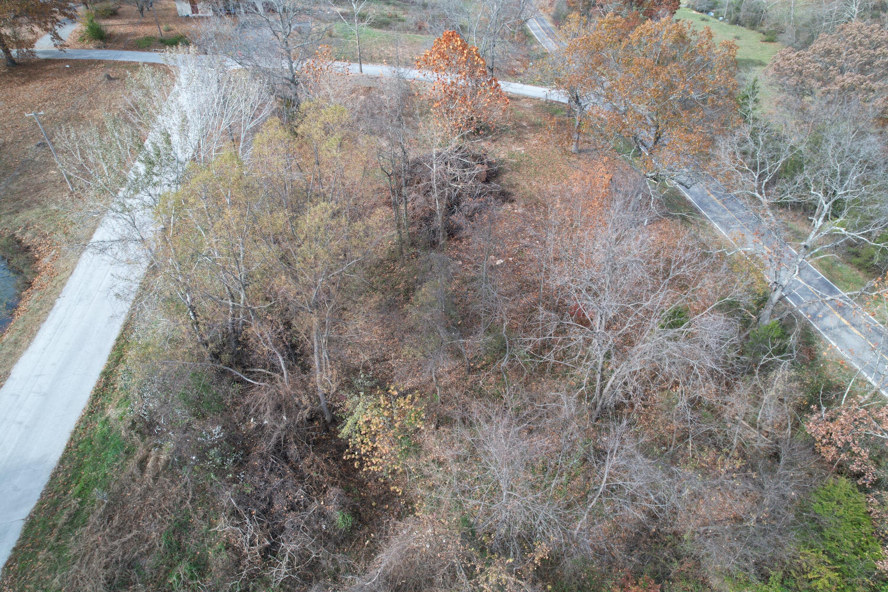 Photo 10 - Land for sale – 000  Rodeo   Ava, MO