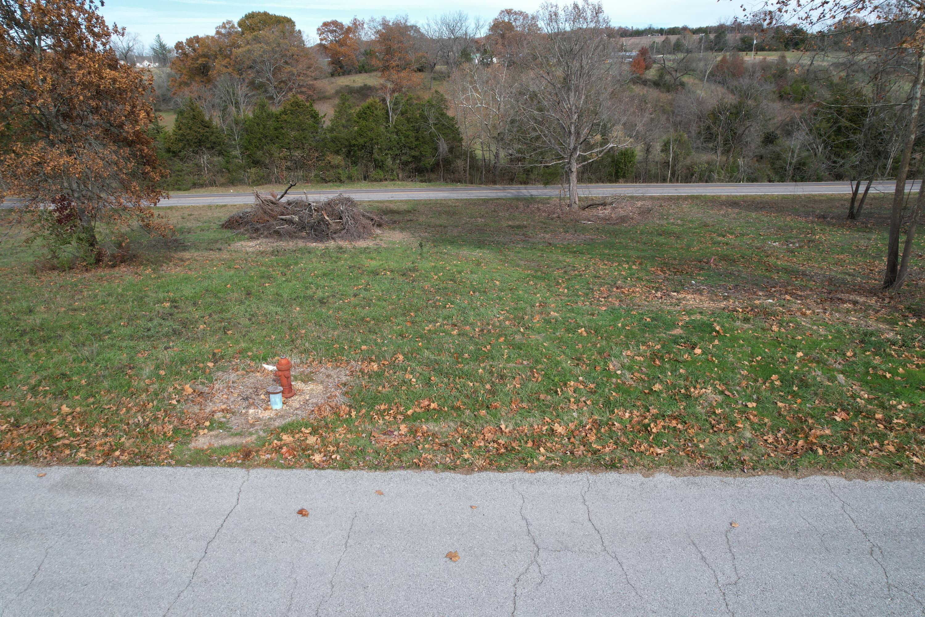 Land for sale – 8  Rodeo Lane  Ava, MO