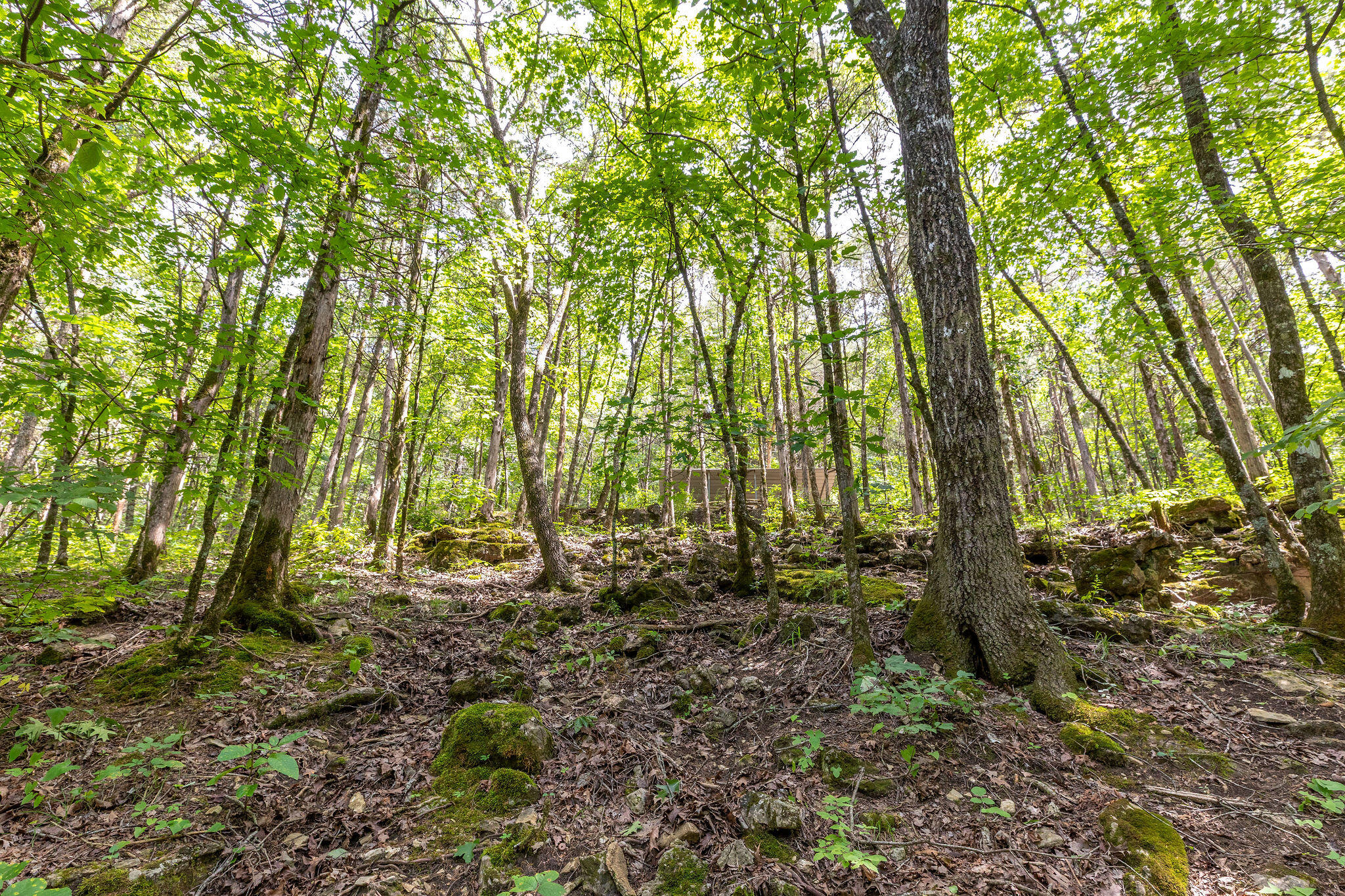 Photo 49 - Residential for sale – 537  Watson Road  Branson, MO