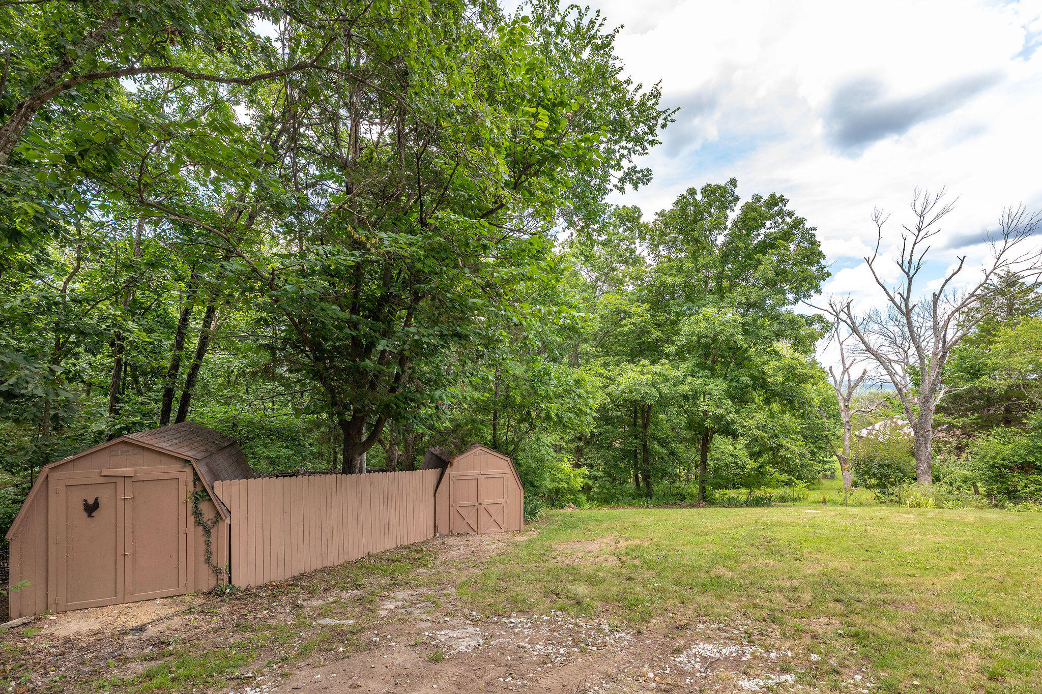 Photo 6 - Residential for sale – 537  Watson Road  Branson, MO