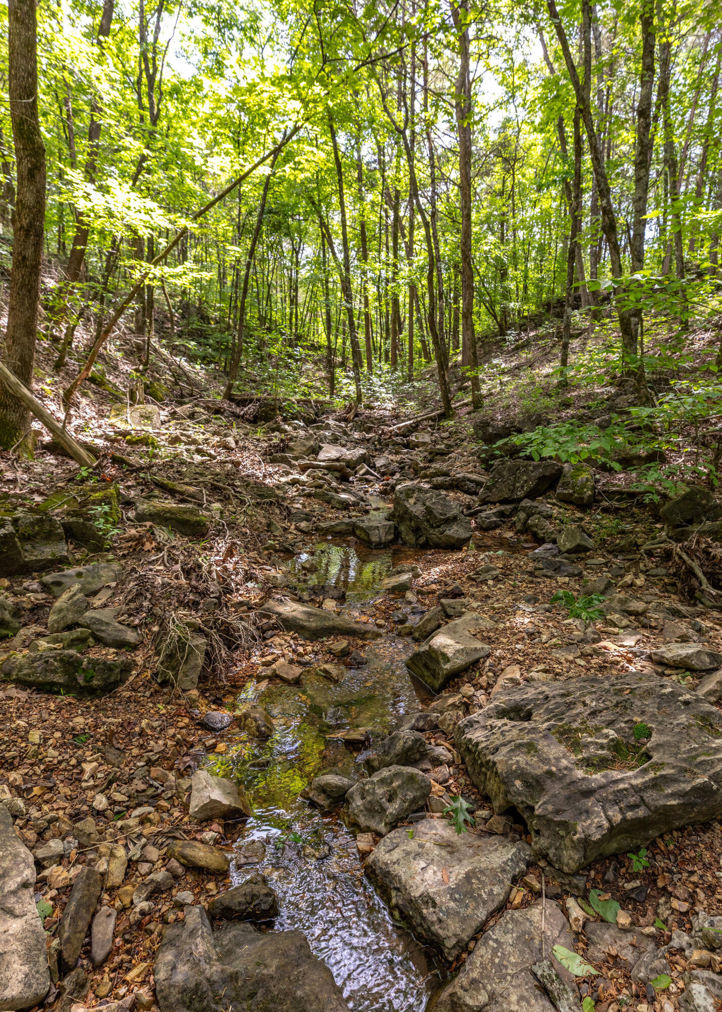 Photo 47 - Residential for sale – 537  Watson Road  Branson, MO