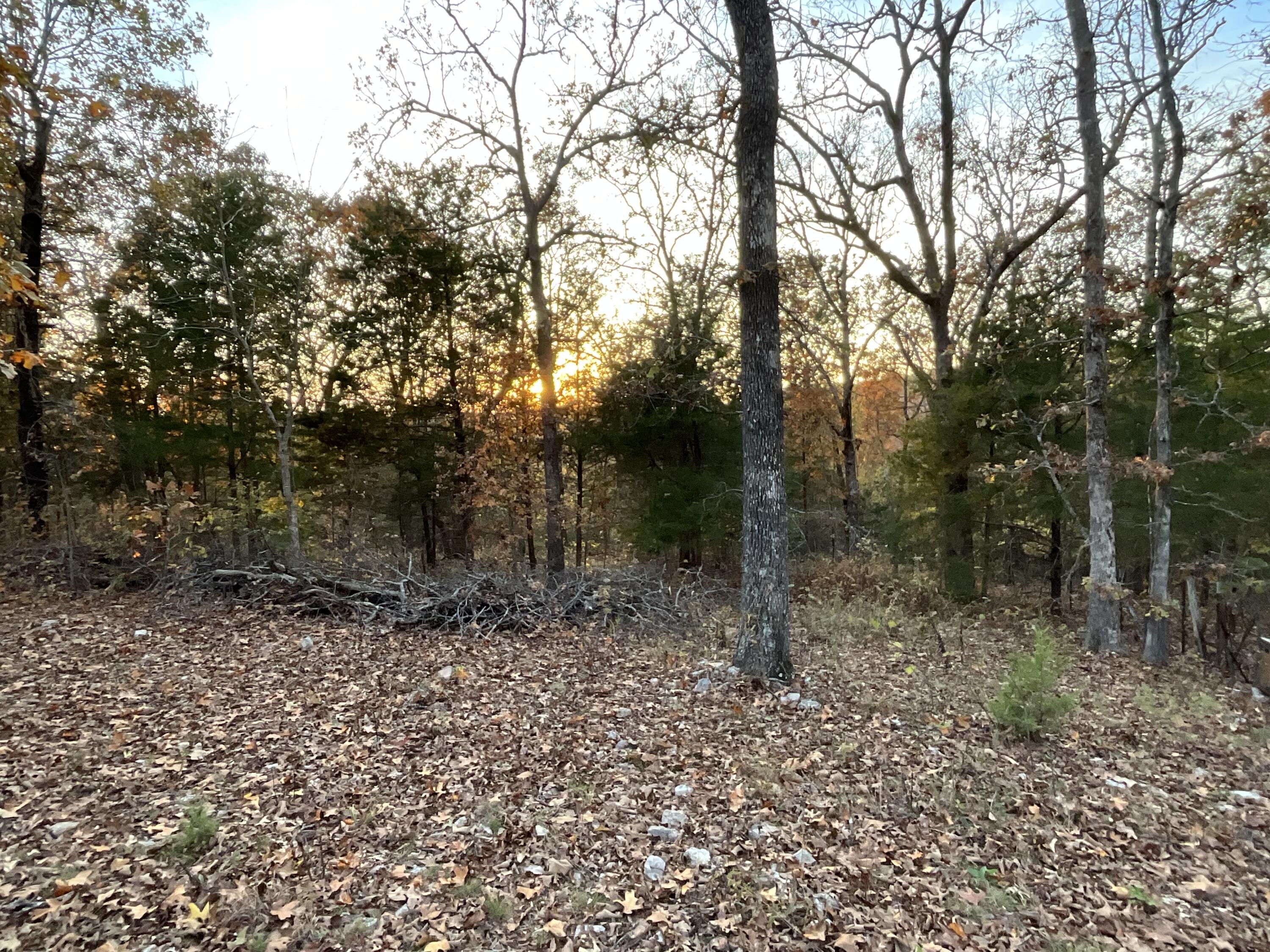 Photo 25 - Residential for sale – 000  Tbd Ledbetter Hollow   Theodosia, MO