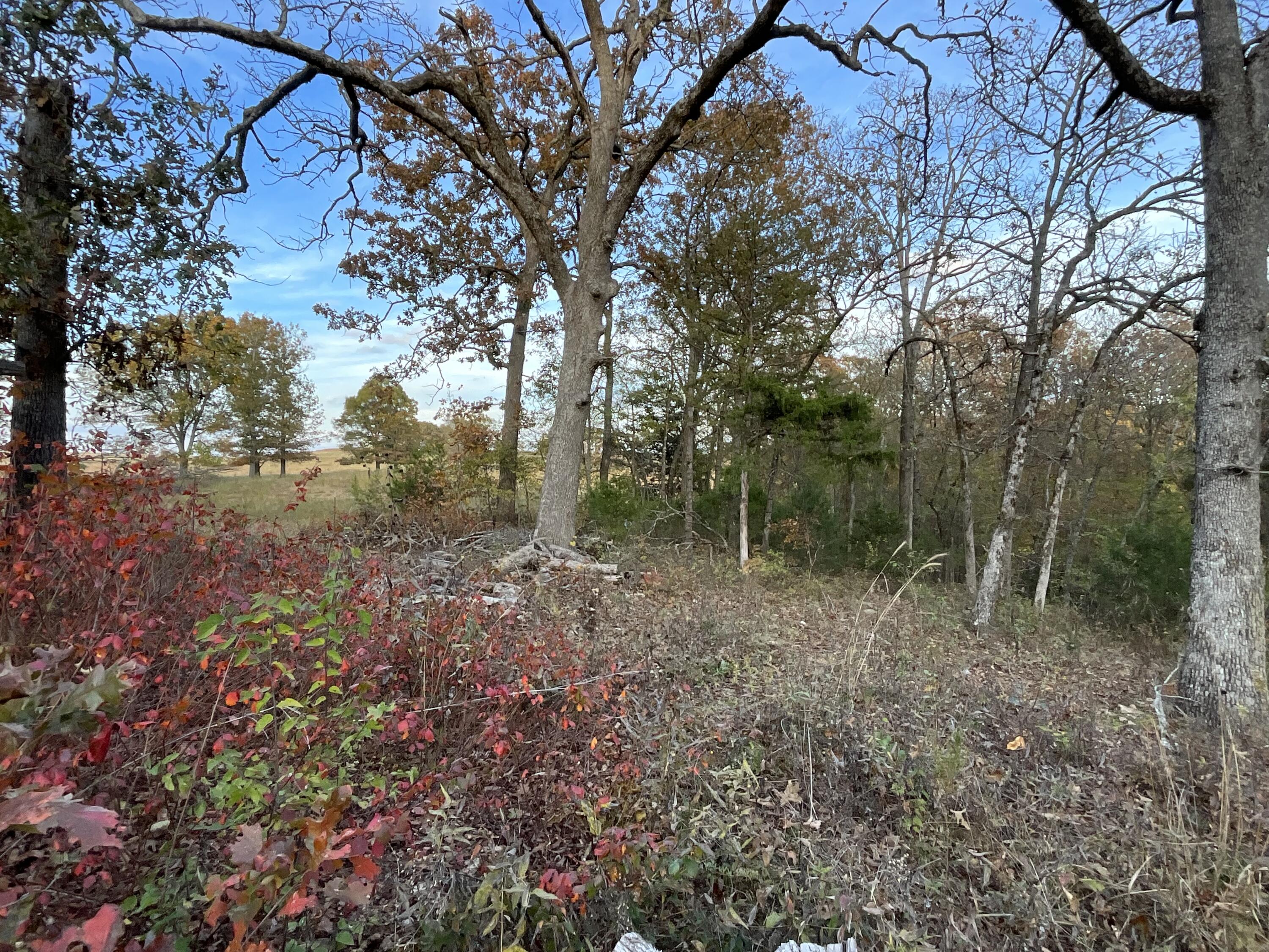 Photo 22 - Residential for sale – 000  Tbd Ledbetter Hollow   Theodosia, MO