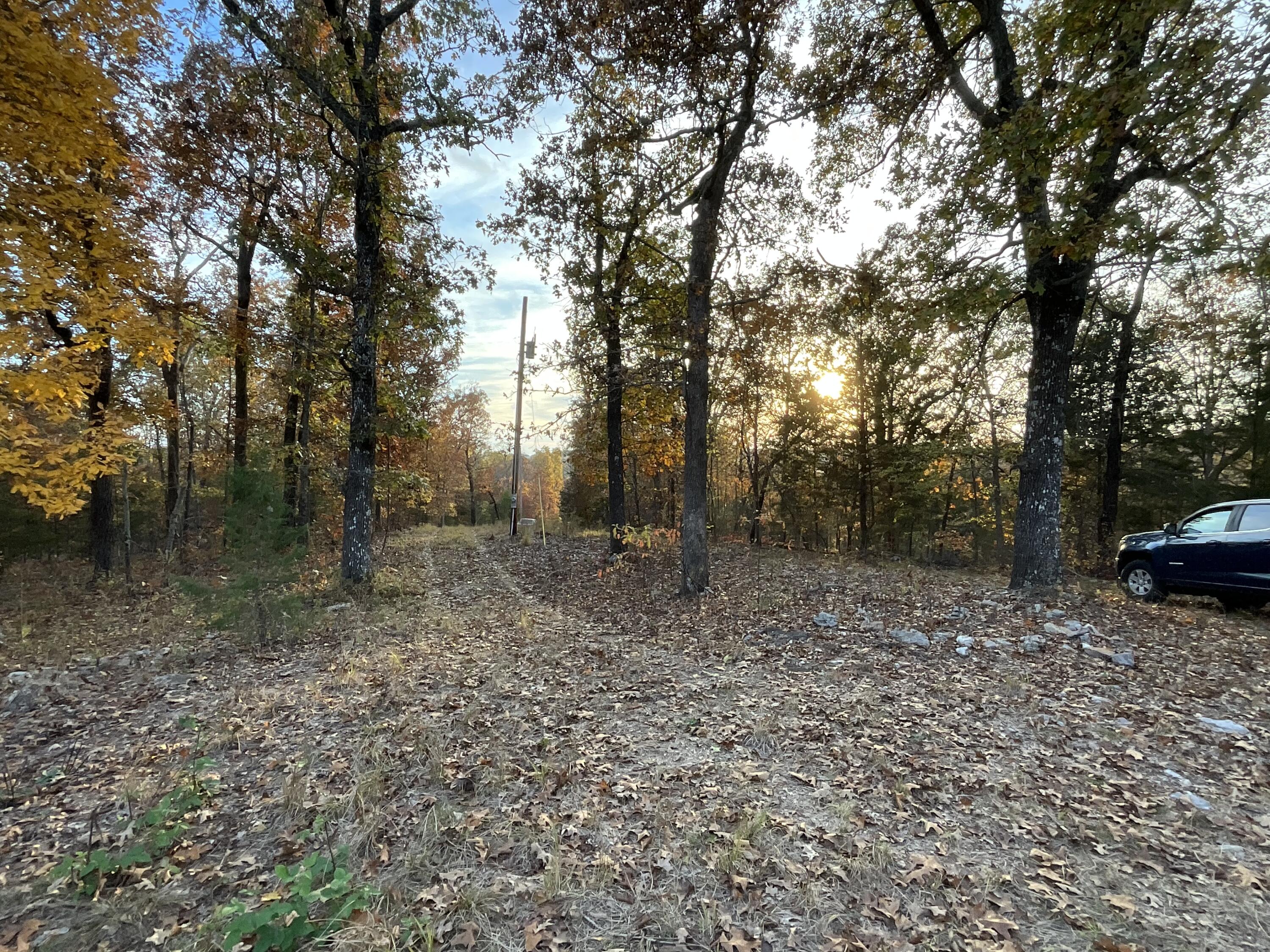Photo 23 - Residential for sale – 000  Tbd Ledbetter Hollow   Theodosia, MO