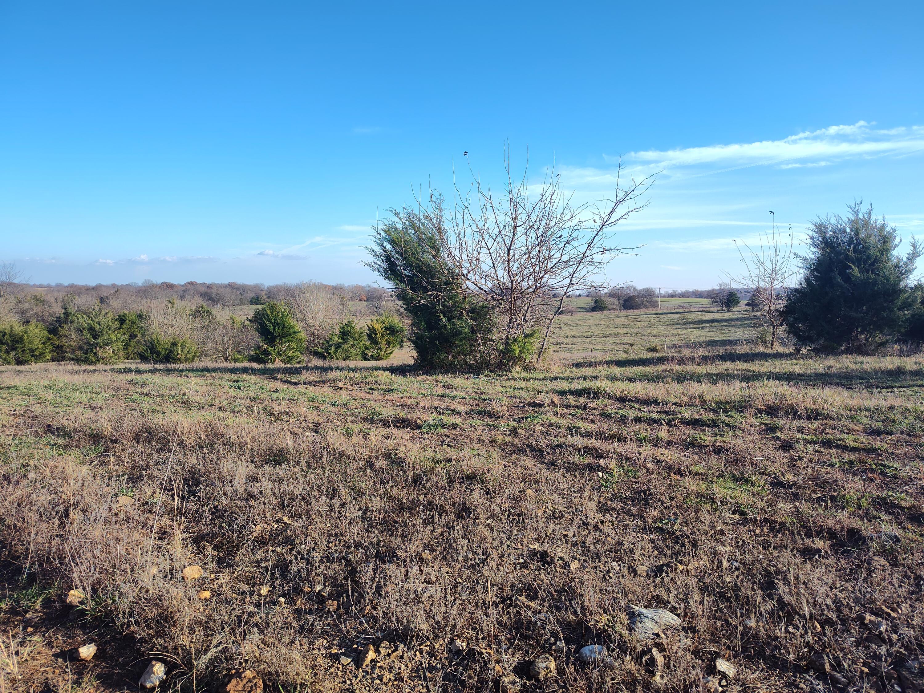 Photo 62 - Farm for sale – 1672 E 355th Road  Bolivar, MO