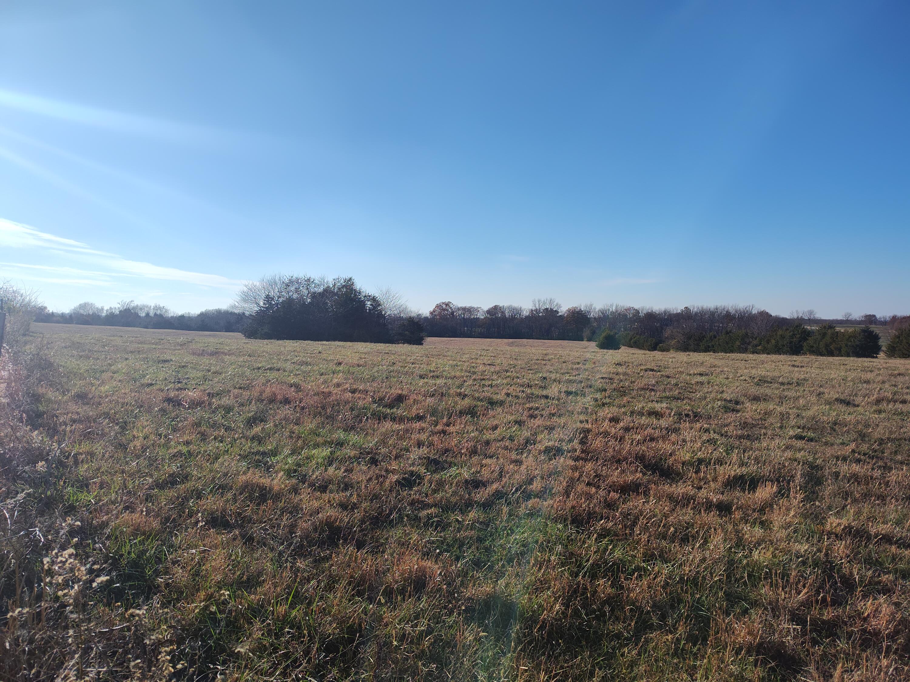 Photo 64 - Farm for sale – 1672 E 355th Road  Bolivar, MO