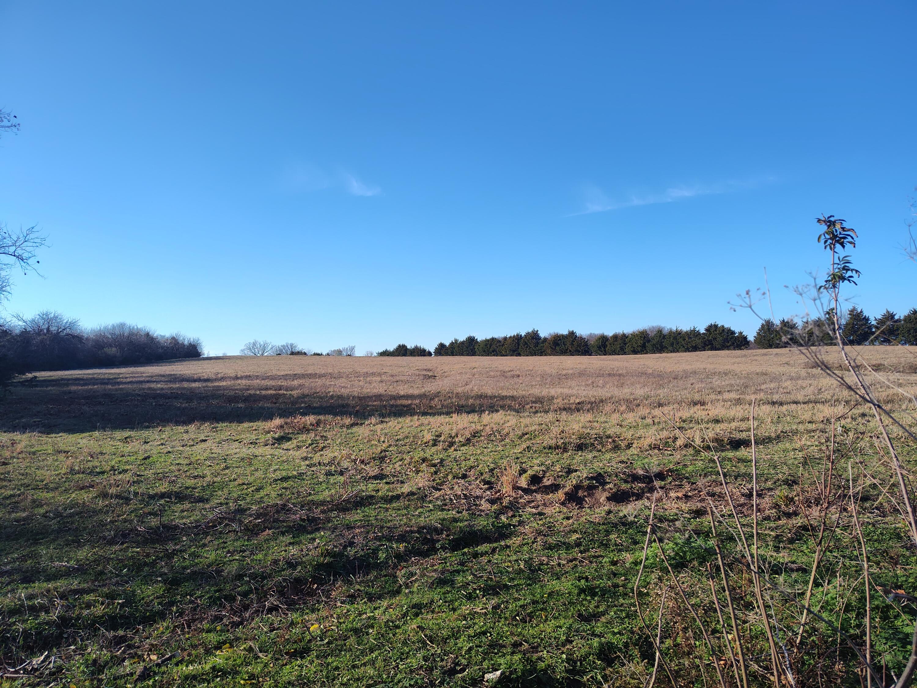 Photo 68 - Farm for sale – 1672 E 355th Road  Bolivar, MO