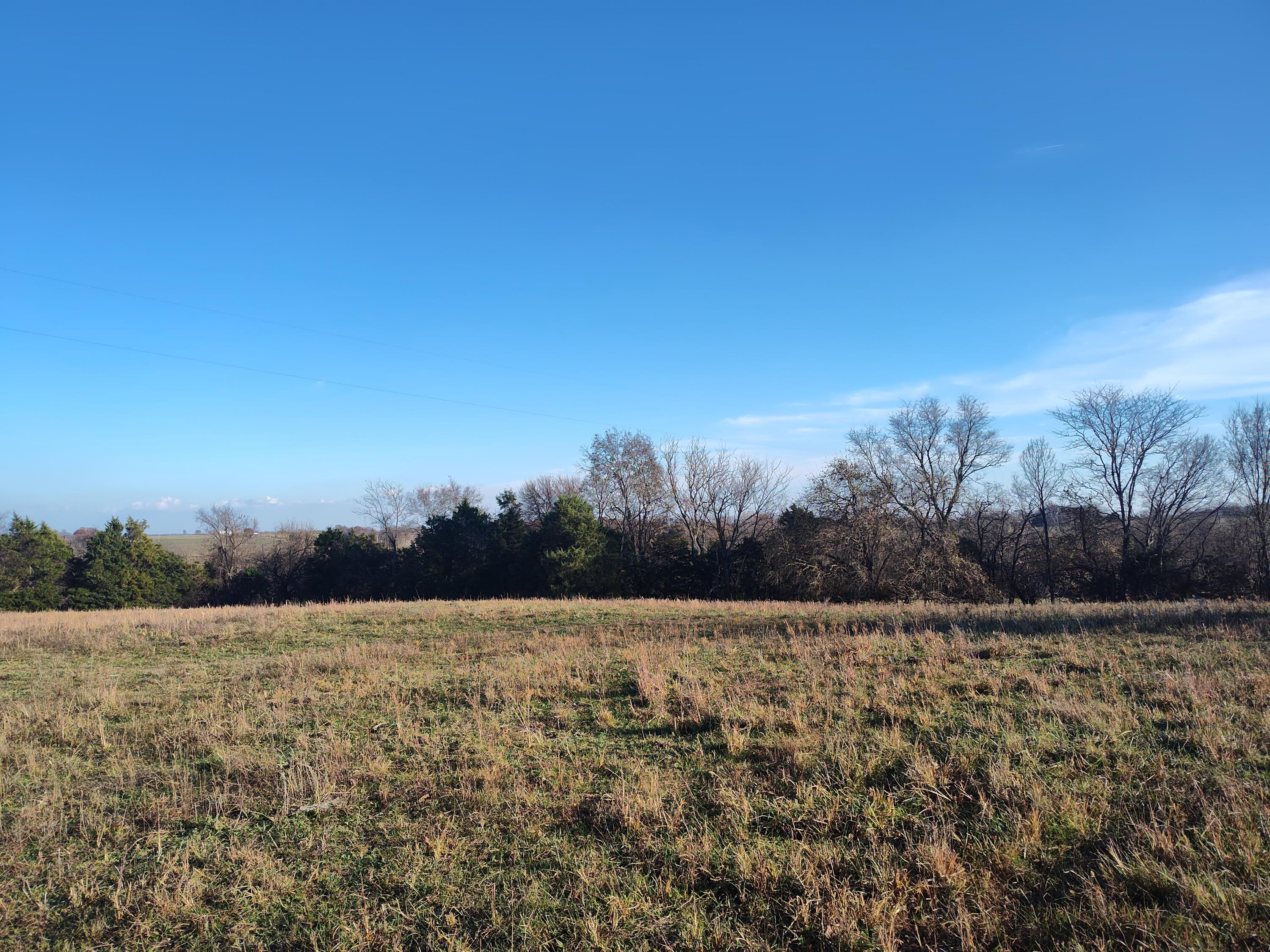 Photo 65 - Farm for sale – 1672 E 355th Road  Bolivar, MO