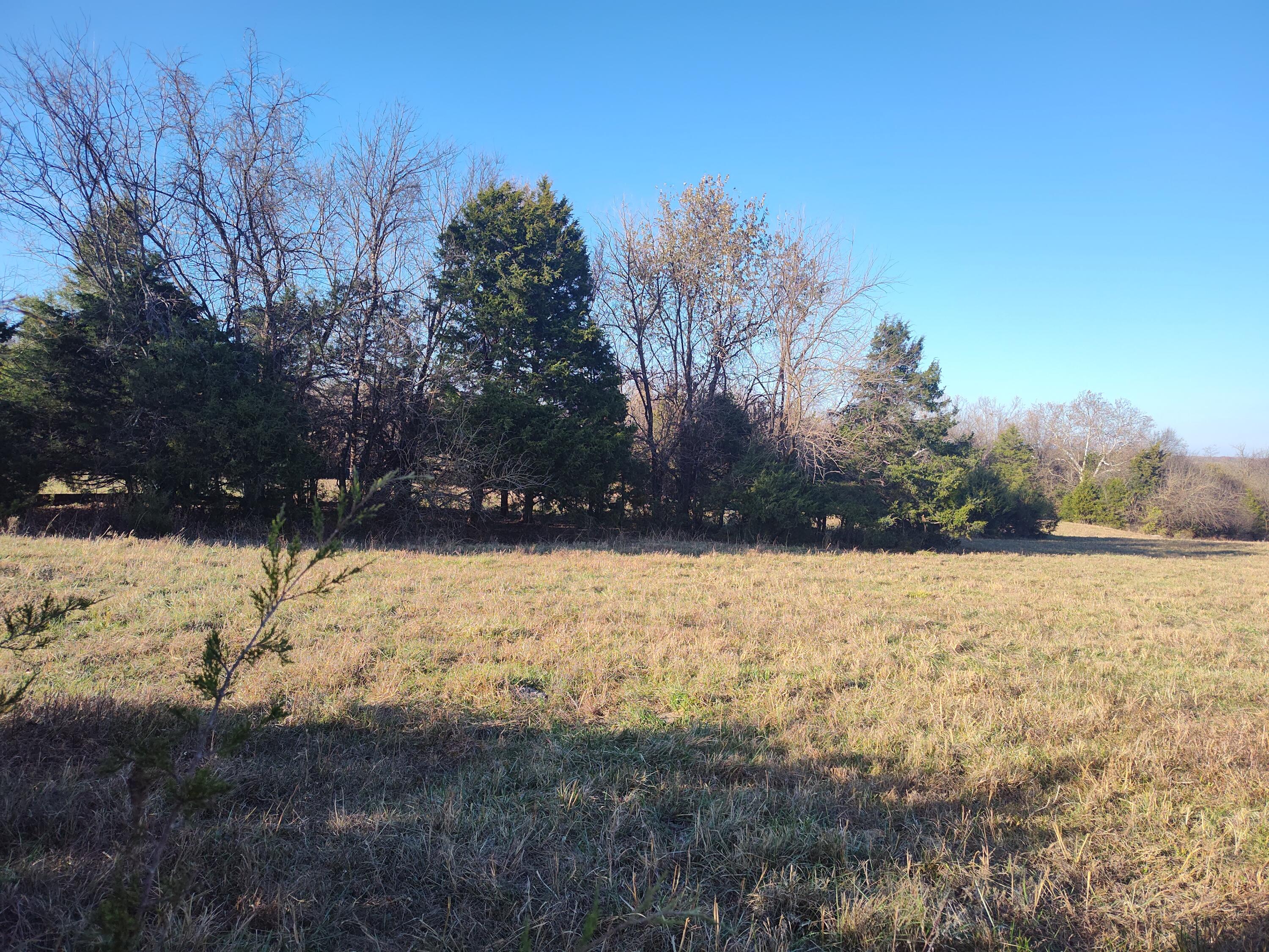 Photo 71 - Farm for sale – 1672 E 355th Road  Bolivar, MO