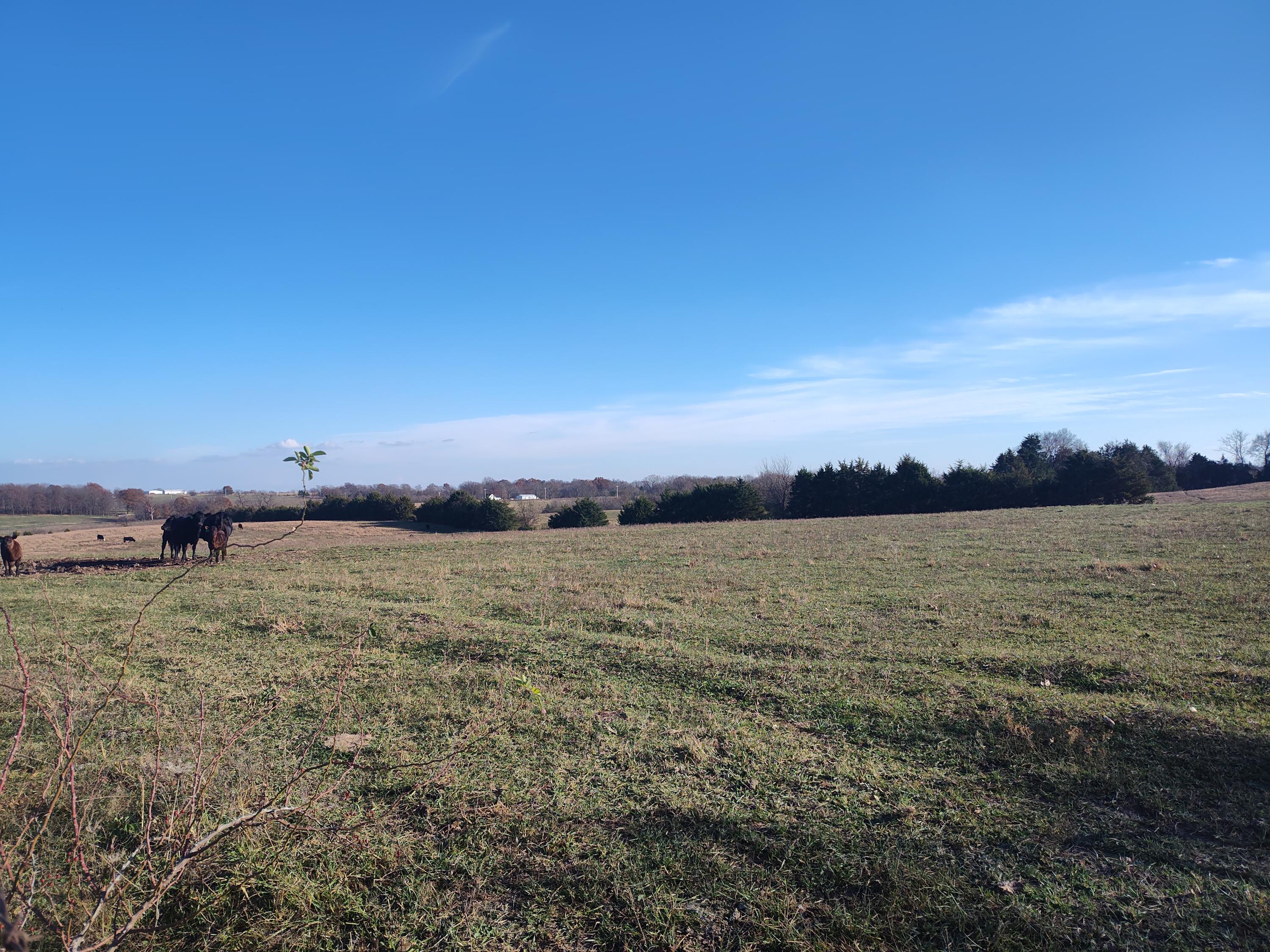 Photo 72 - Farm for sale – 1672 E 355th Road  Bolivar, MO