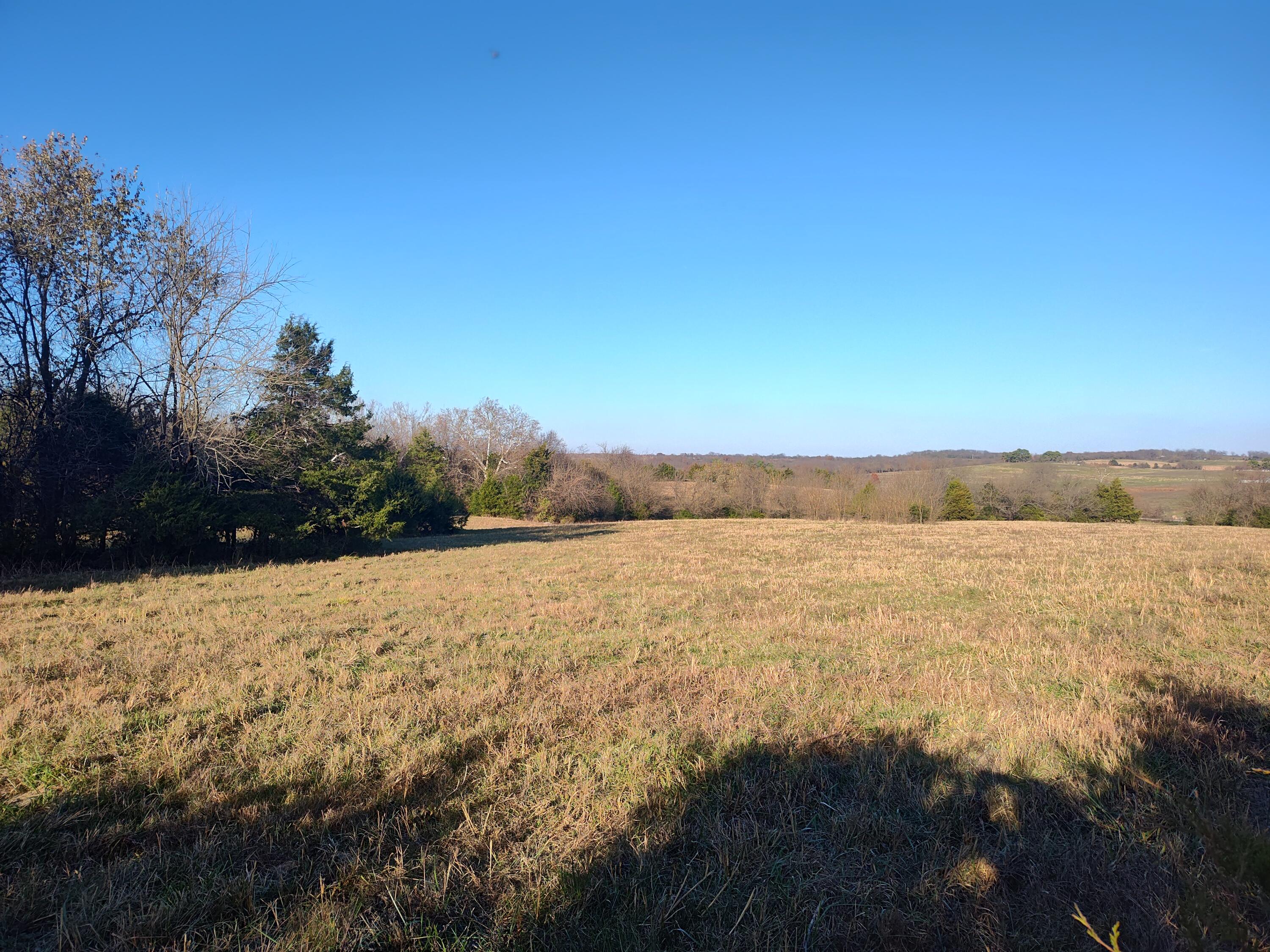Photo 70 - Farm for sale – 1672 E 355th Road  Bolivar, MO