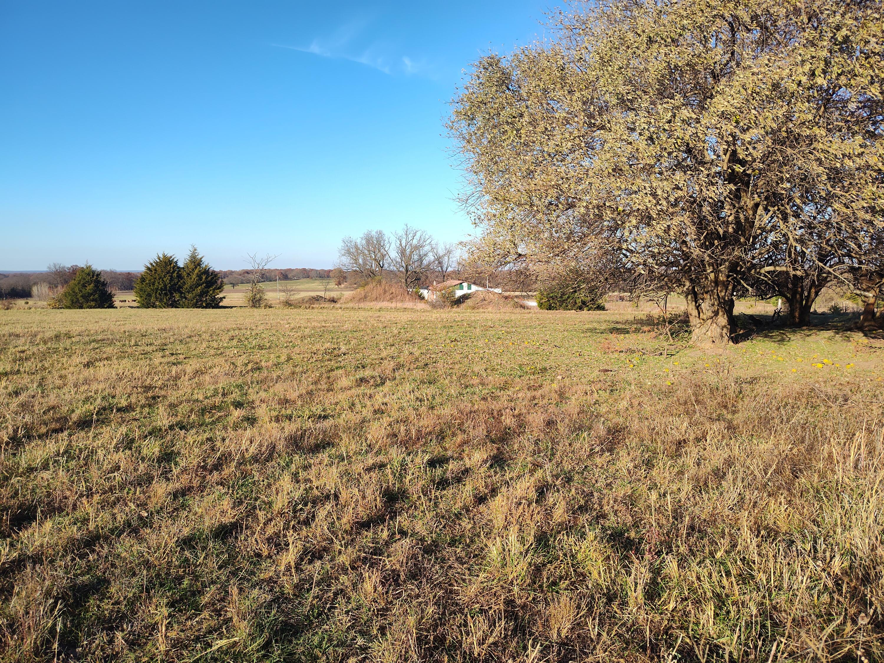 Photo 63 - Farm for sale – 1672 E 355th Road  Bolivar, MO