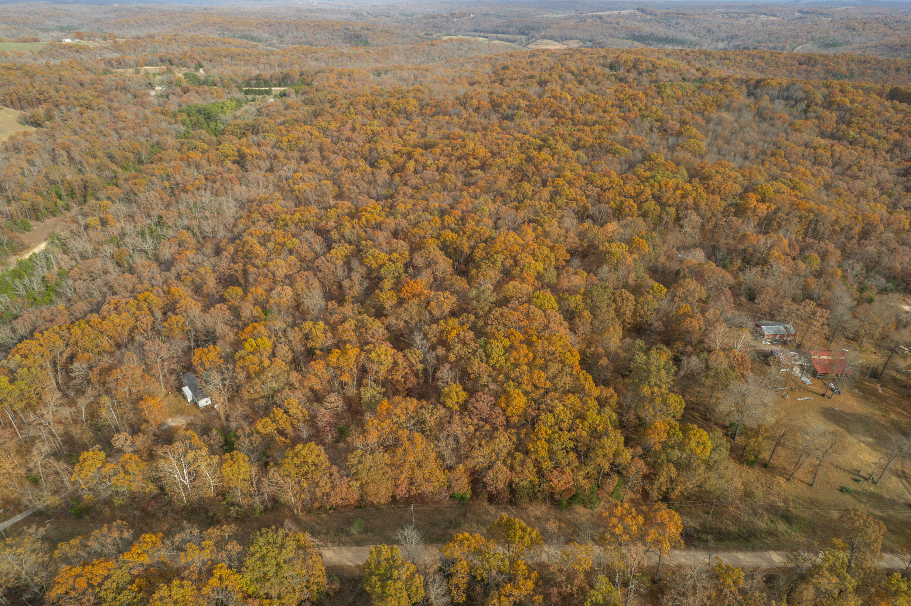 Photo 11 - Land for sale – Lot 28  County Road 555 C   Tecumseh, MO